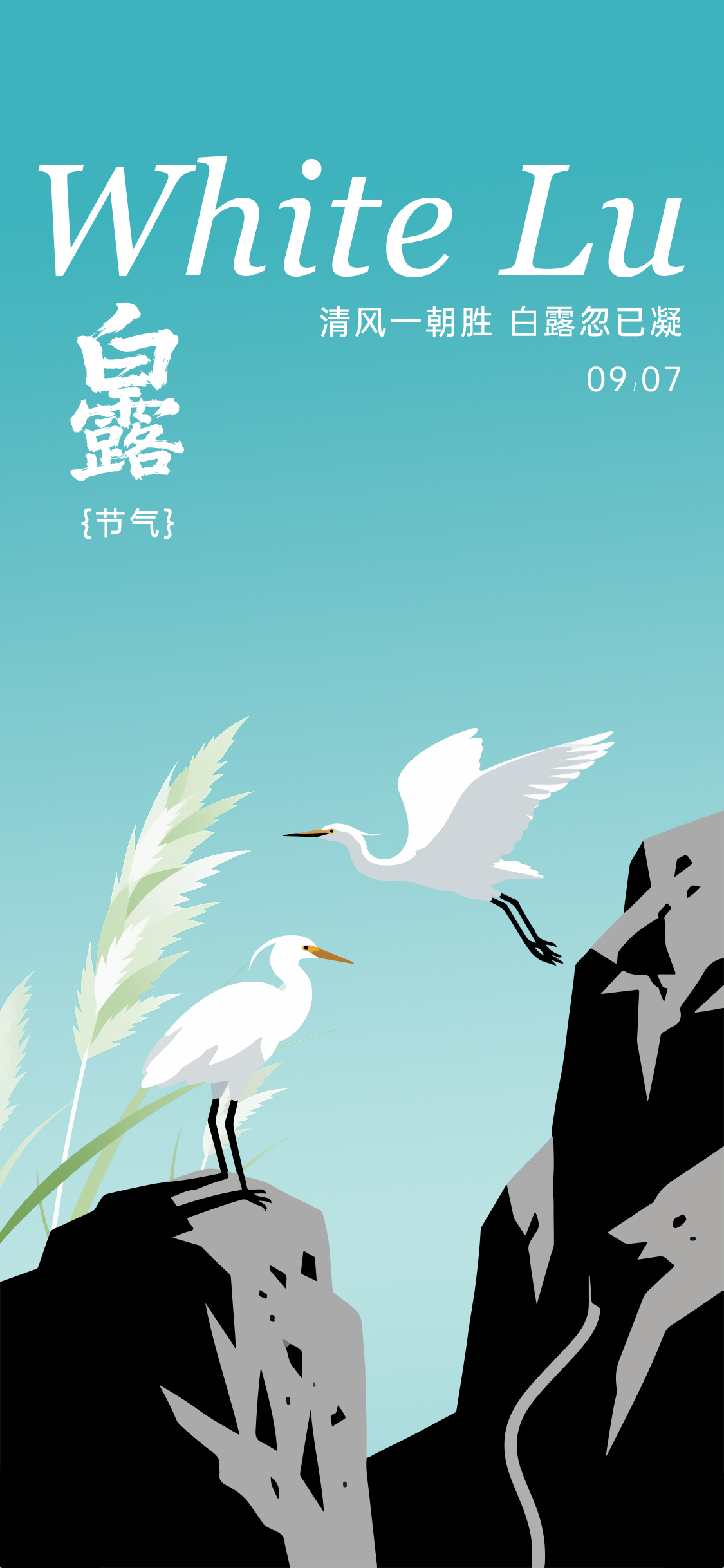 白露节气海报