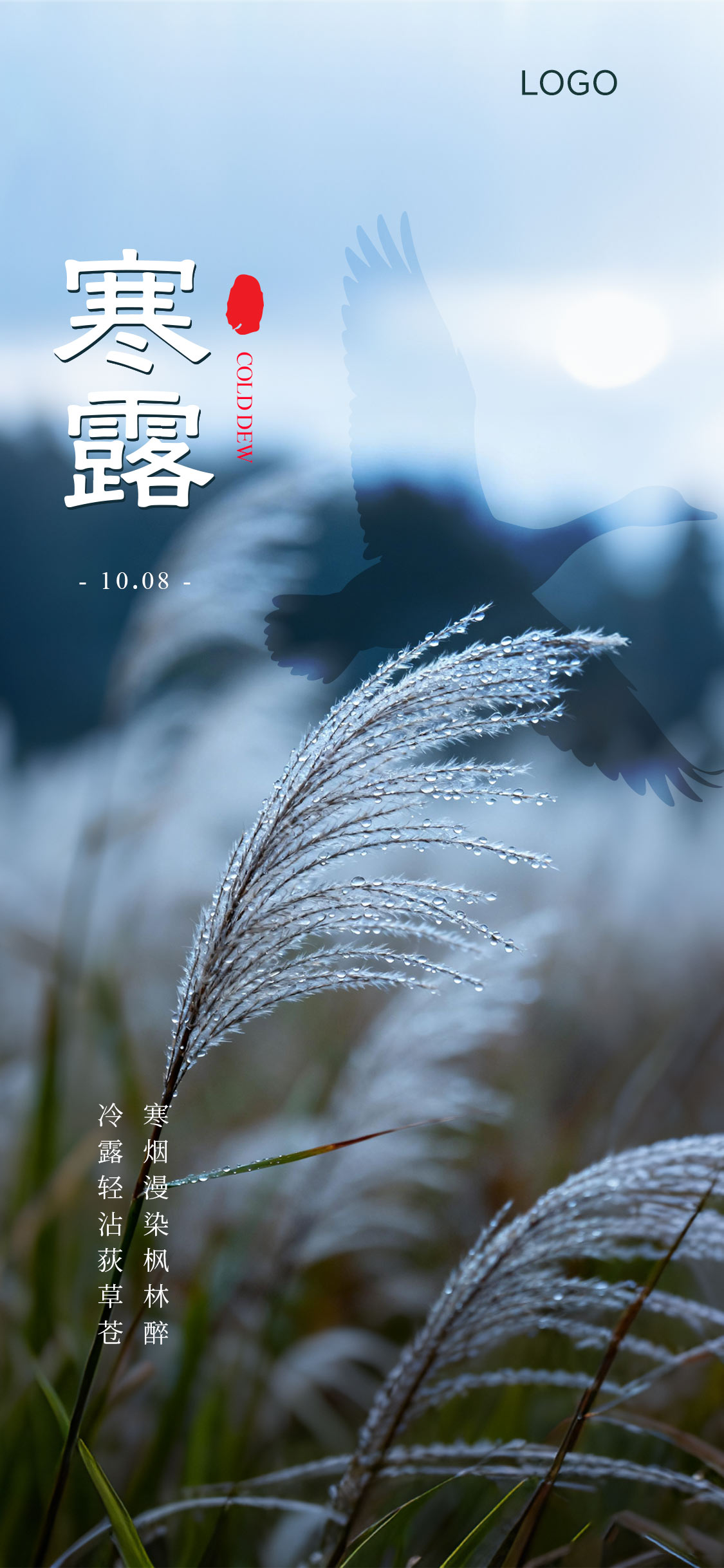 寒露霜降节气海报