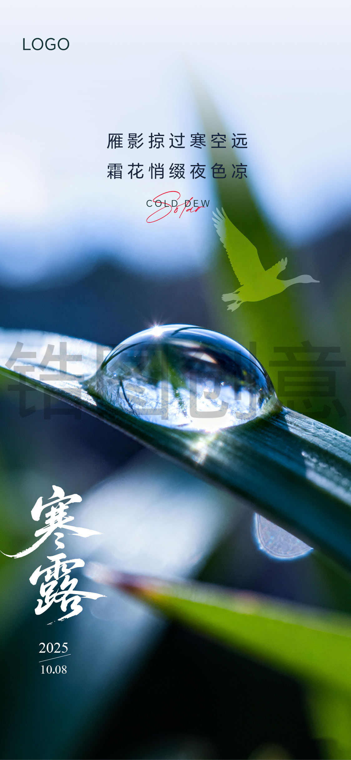 寒露白露霜降节气微信海报