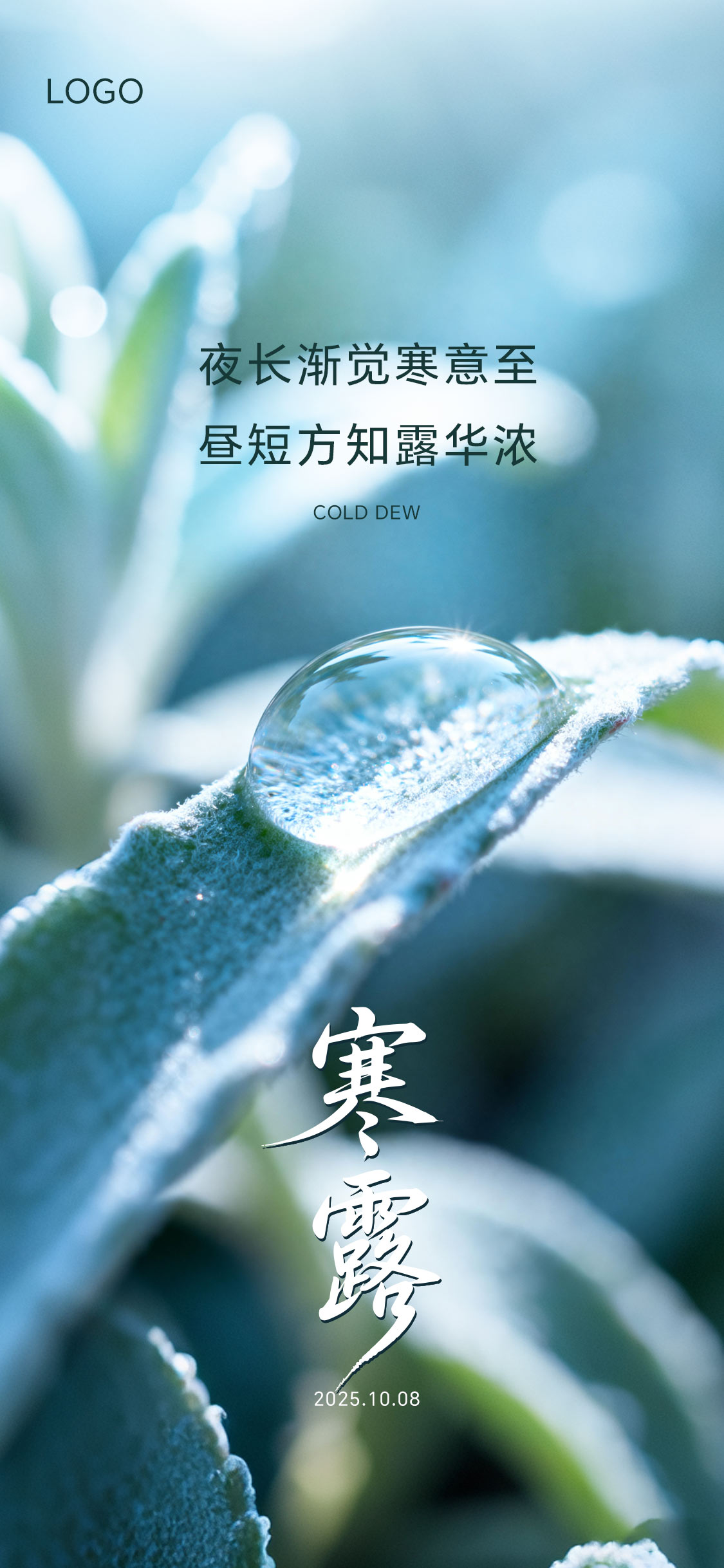 寒露白露霜降节气微信海报