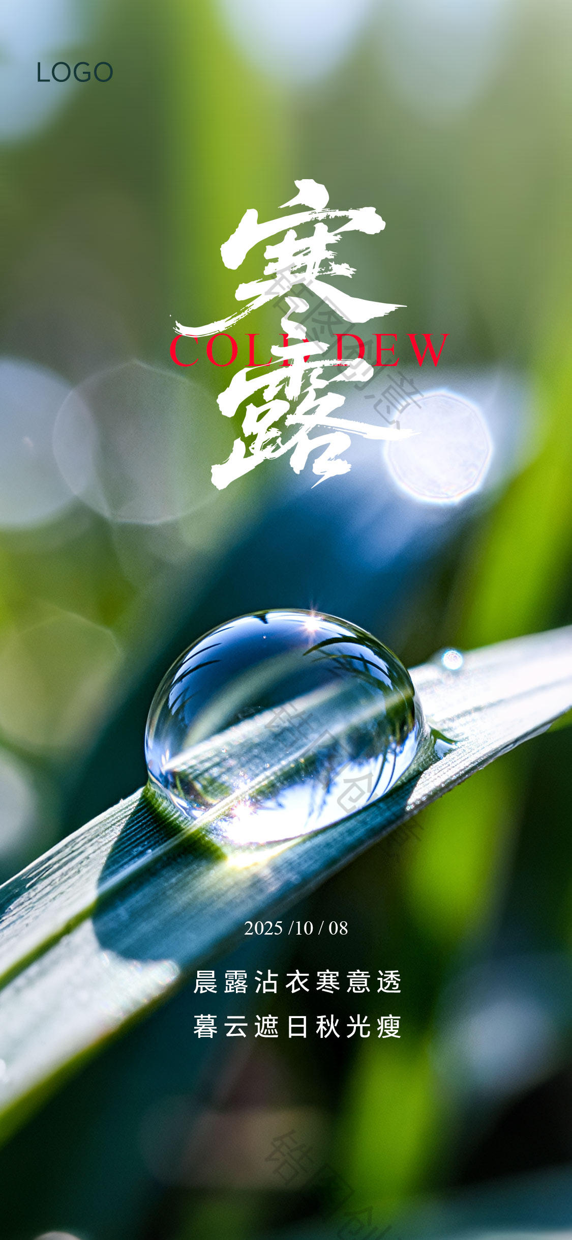 寒露白露霜降节气海报