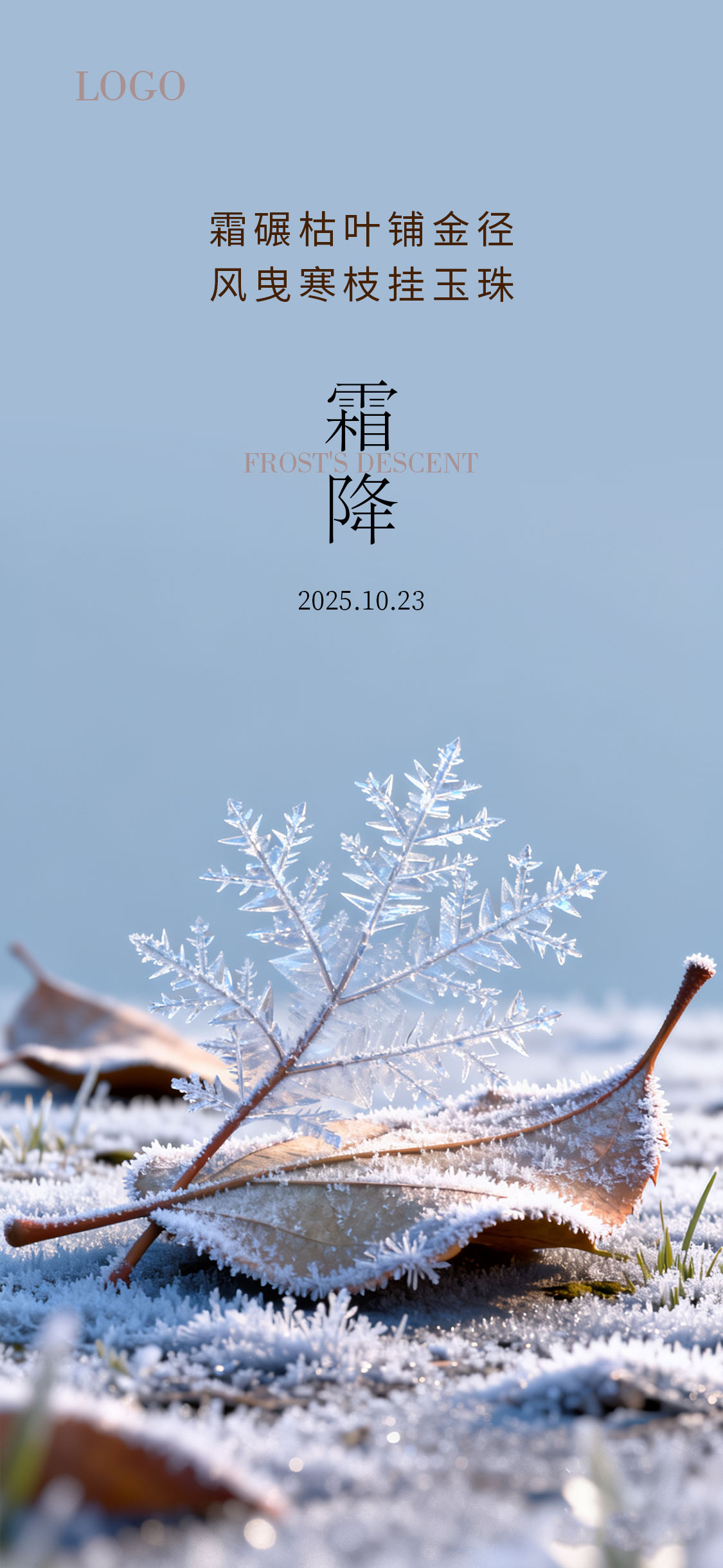 写实感霜降寒露节气海报