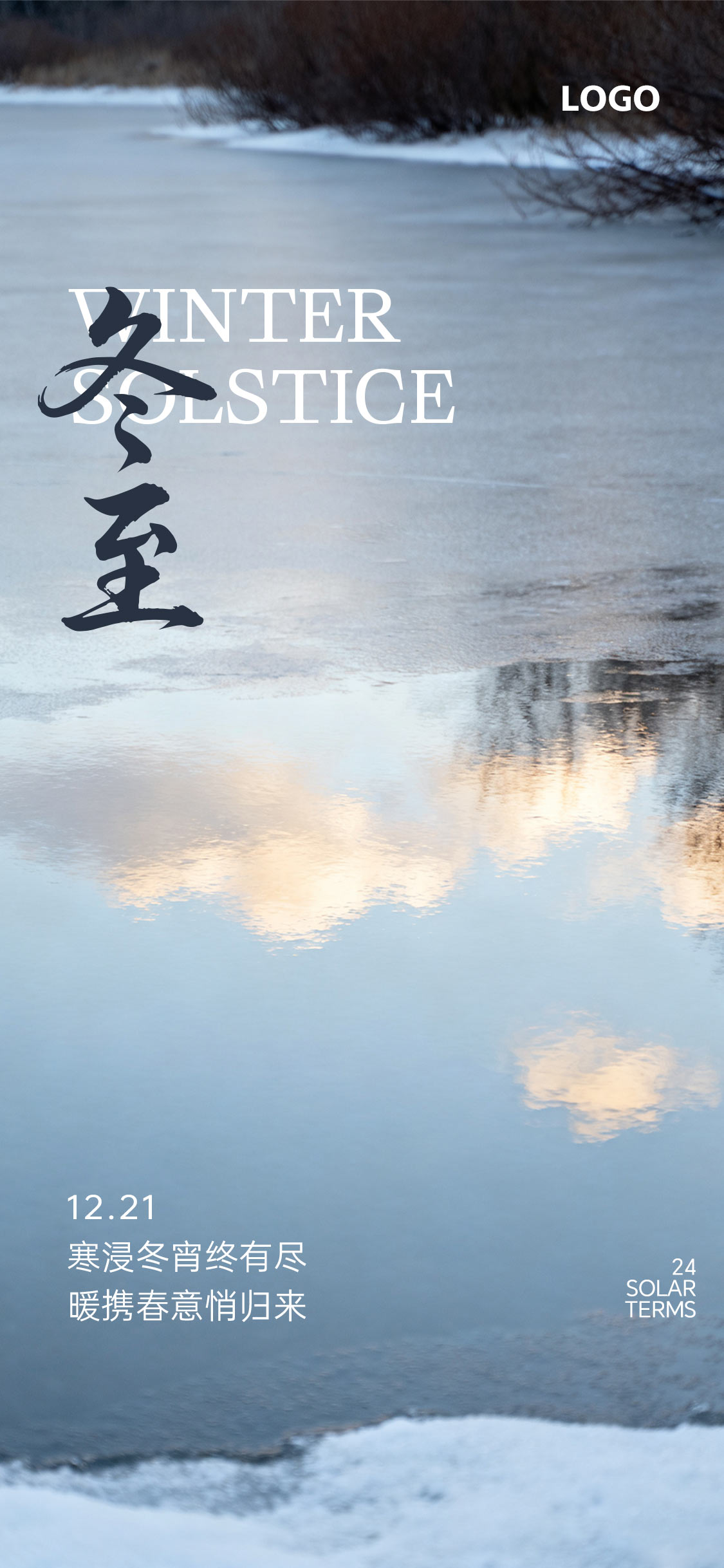 大寒大雪小雪节气写实海报