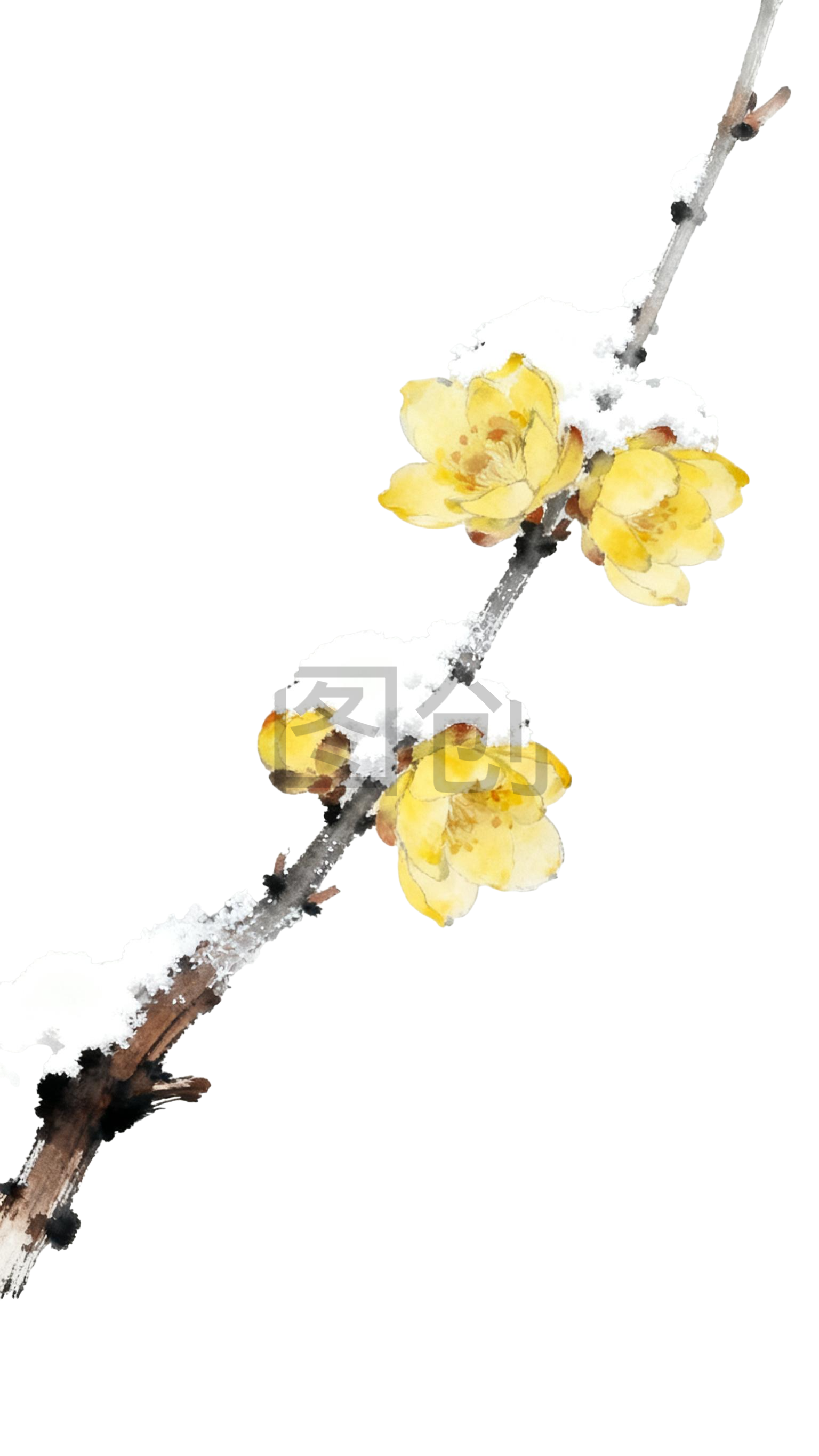 水墨画国风腊梅元素