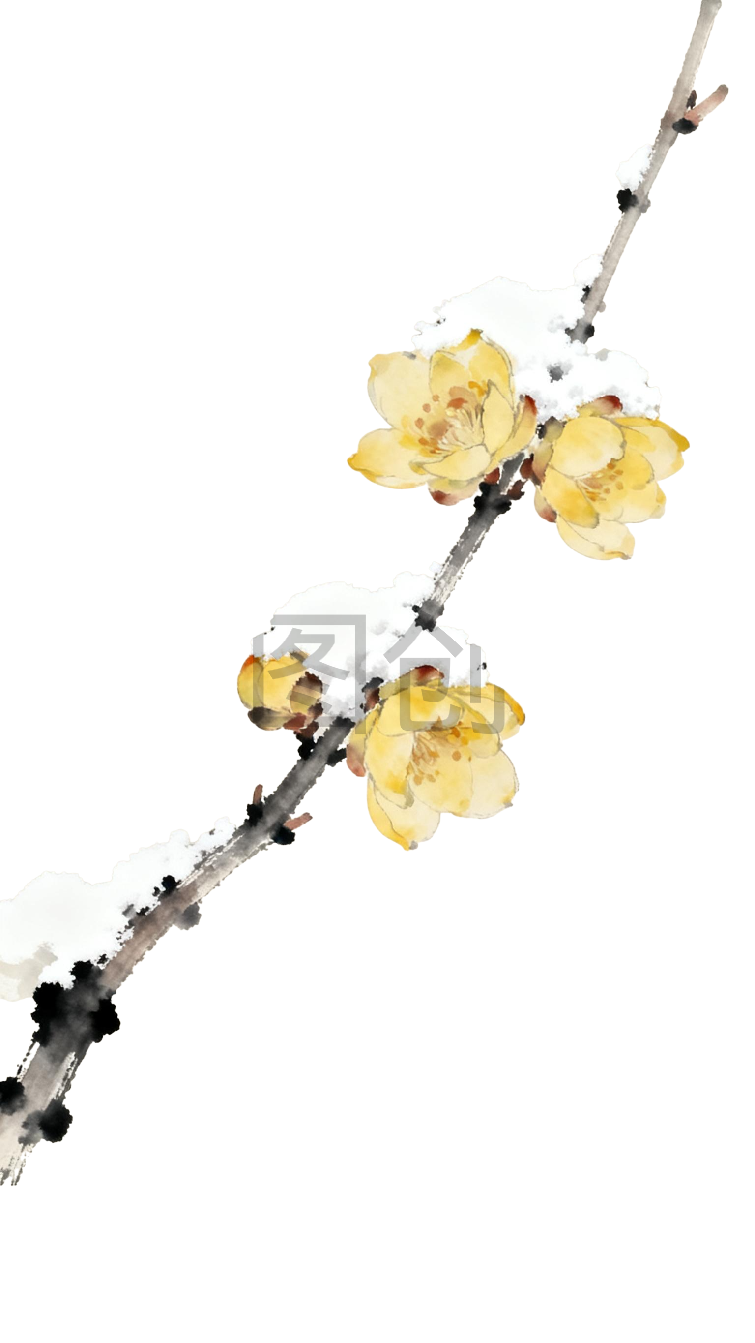 水墨风国风腊梅花花枝元素