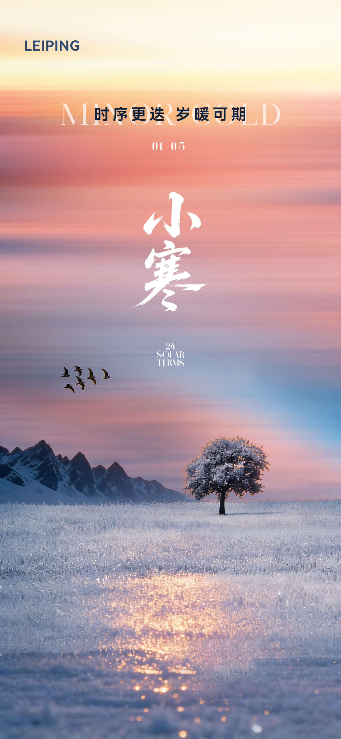 大寒小寒节气海报