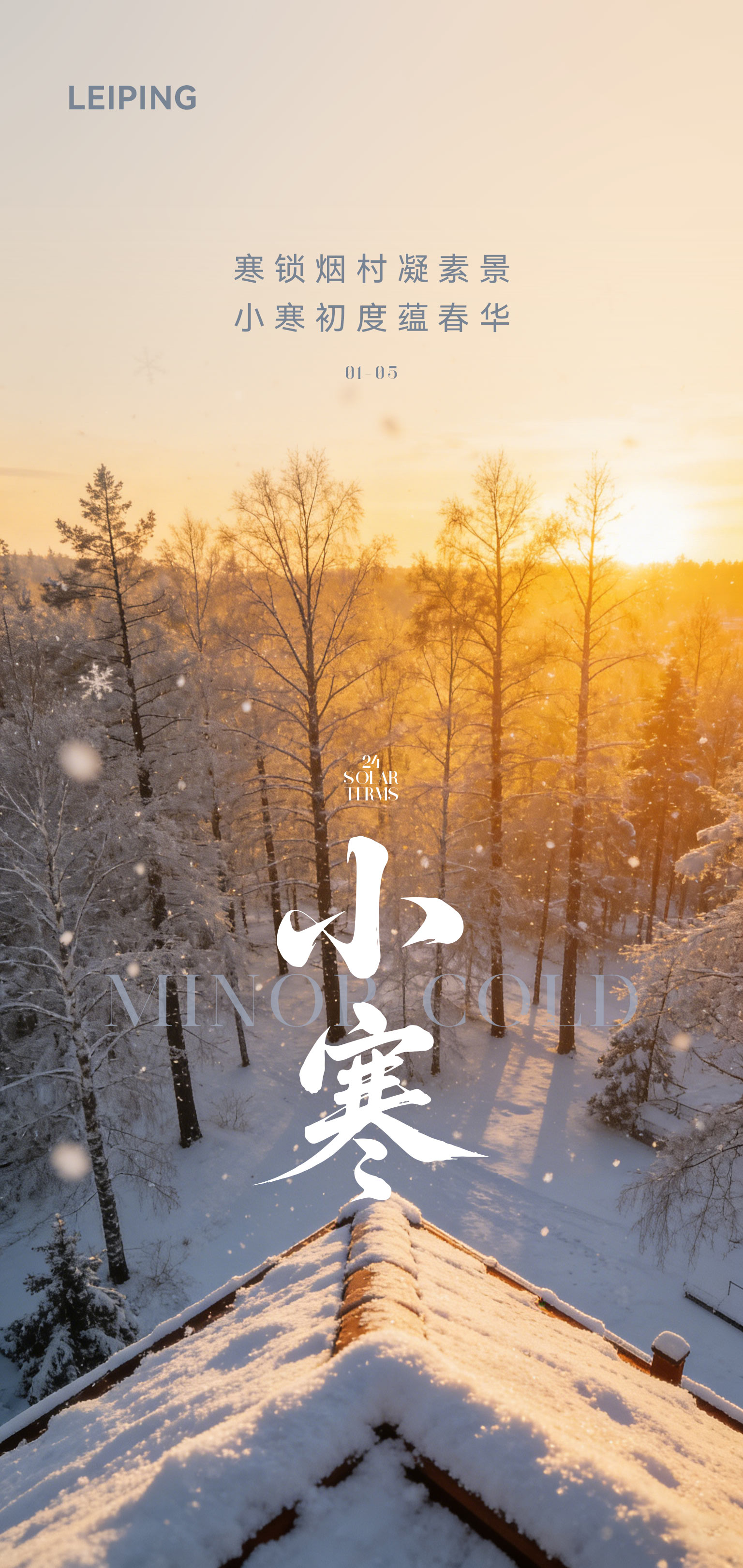 真实感大寒节气小寒海报