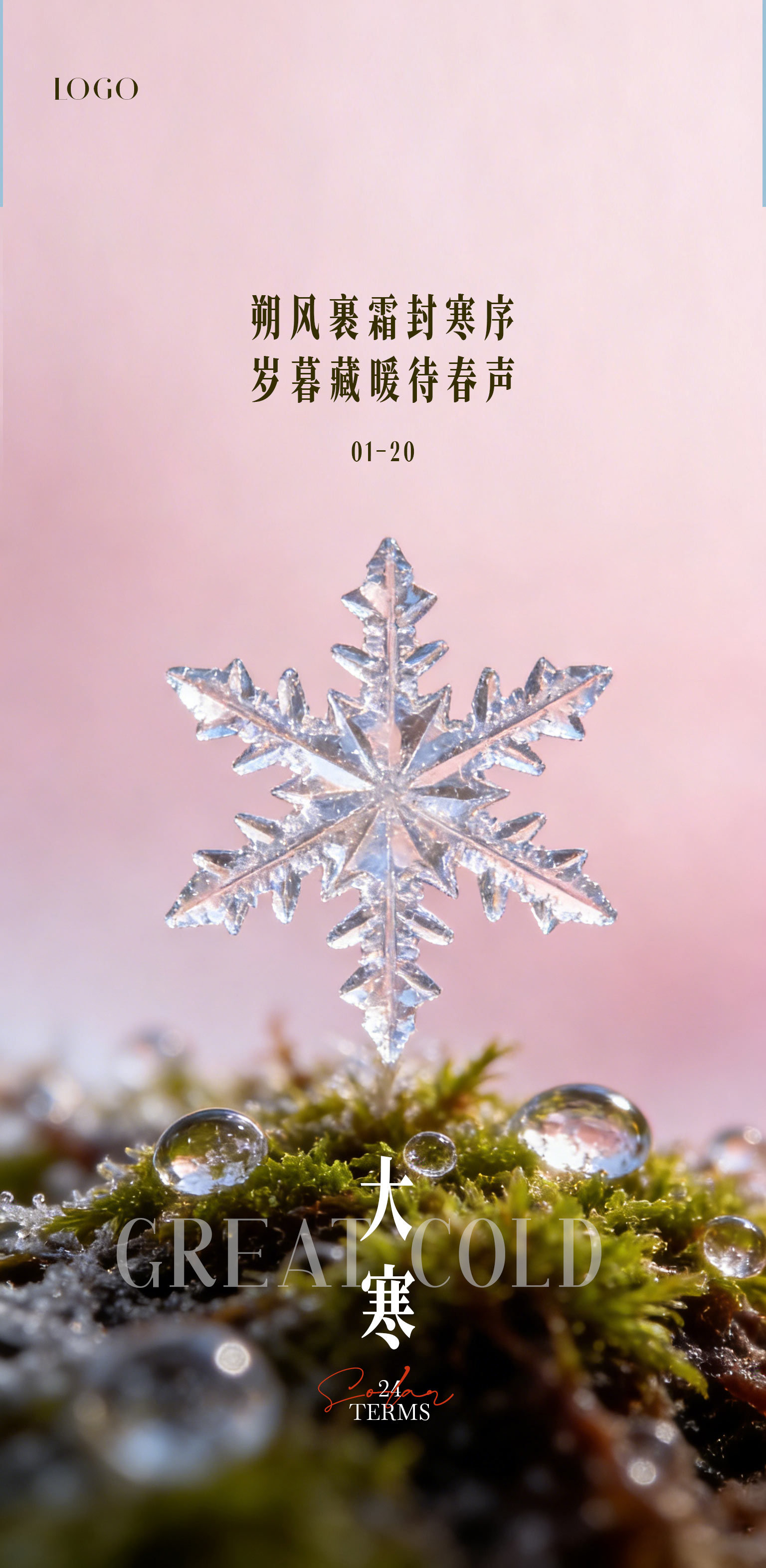 简约特写大寒小寒节气海报