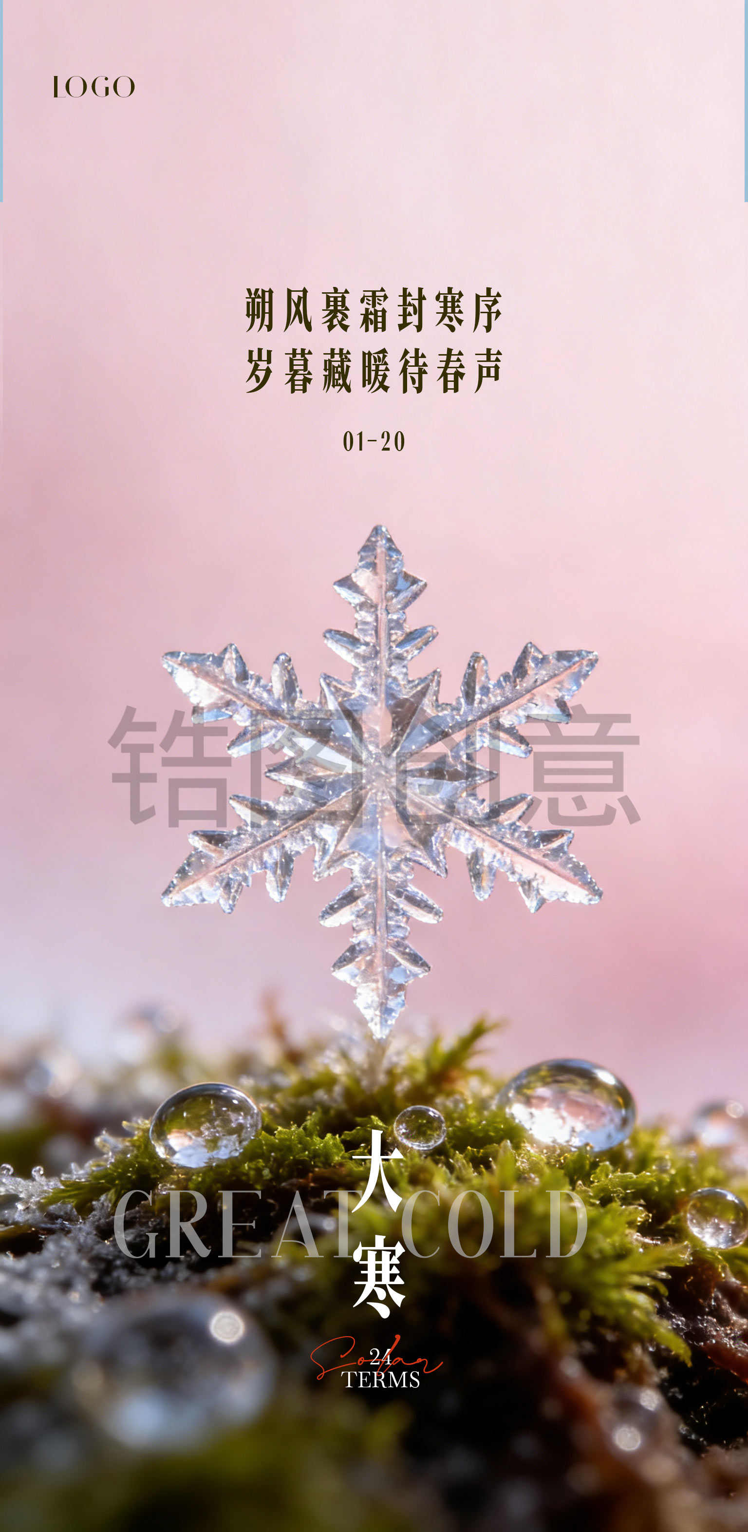 简约特写大寒小寒节气海报