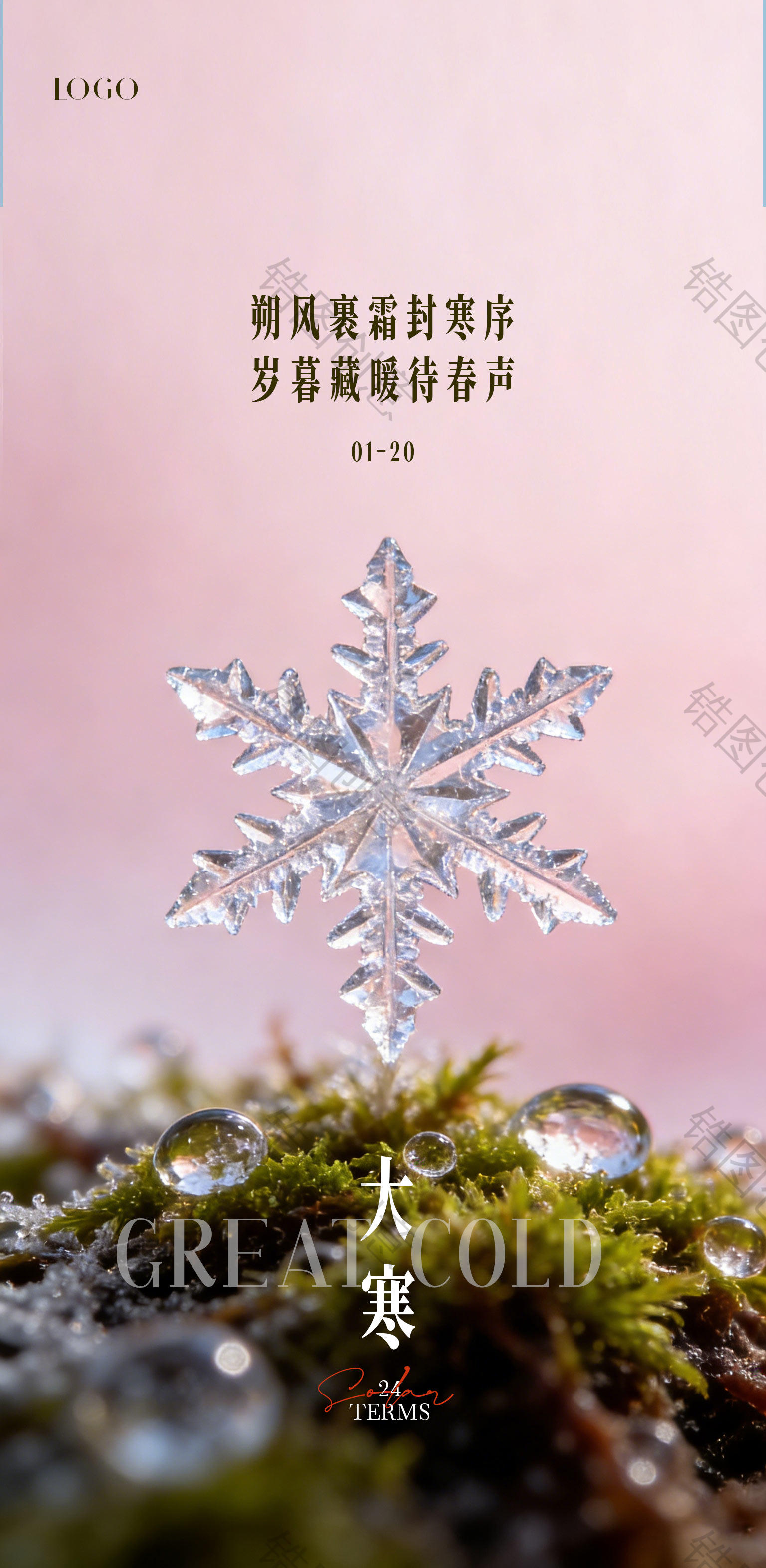 简约特写大寒小寒节气海报