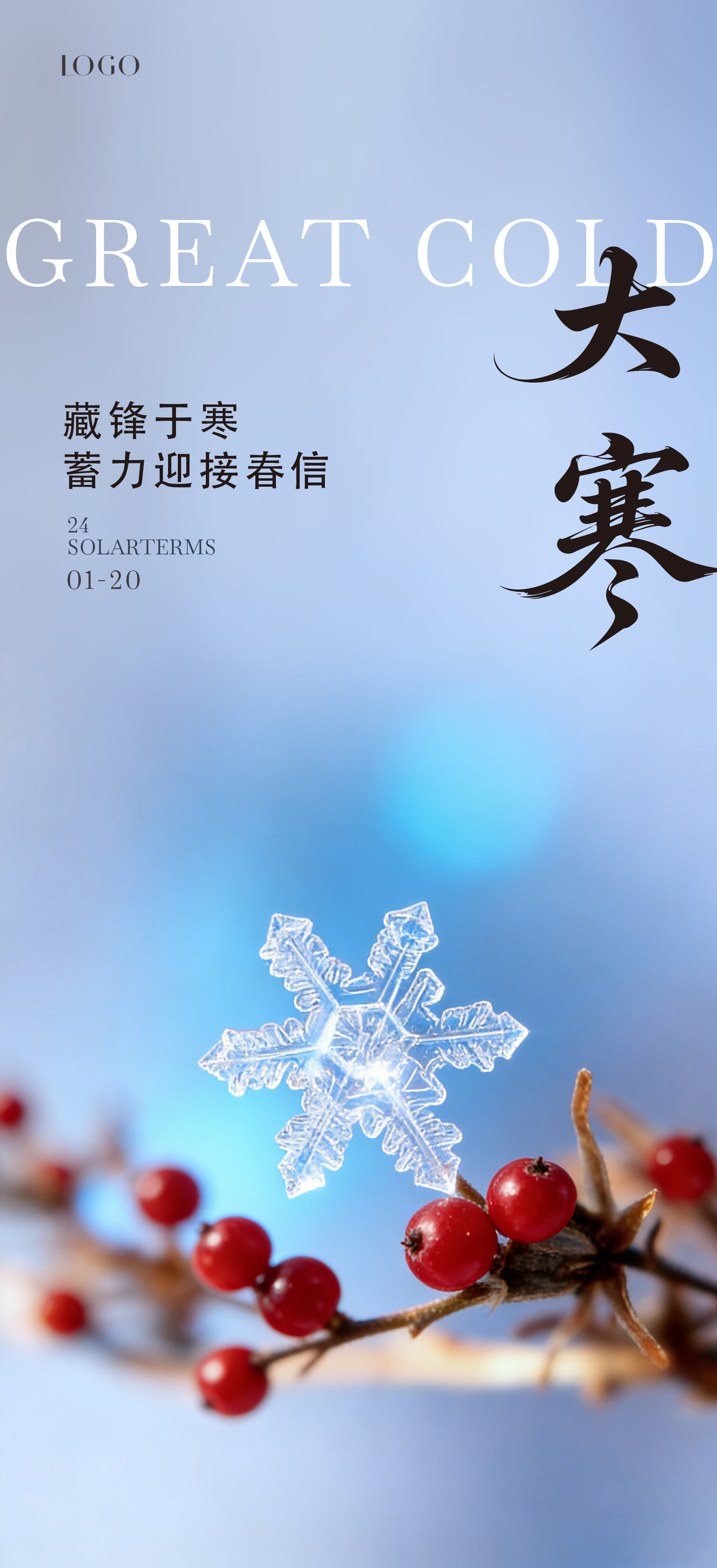 大寒小寒简约节气海报