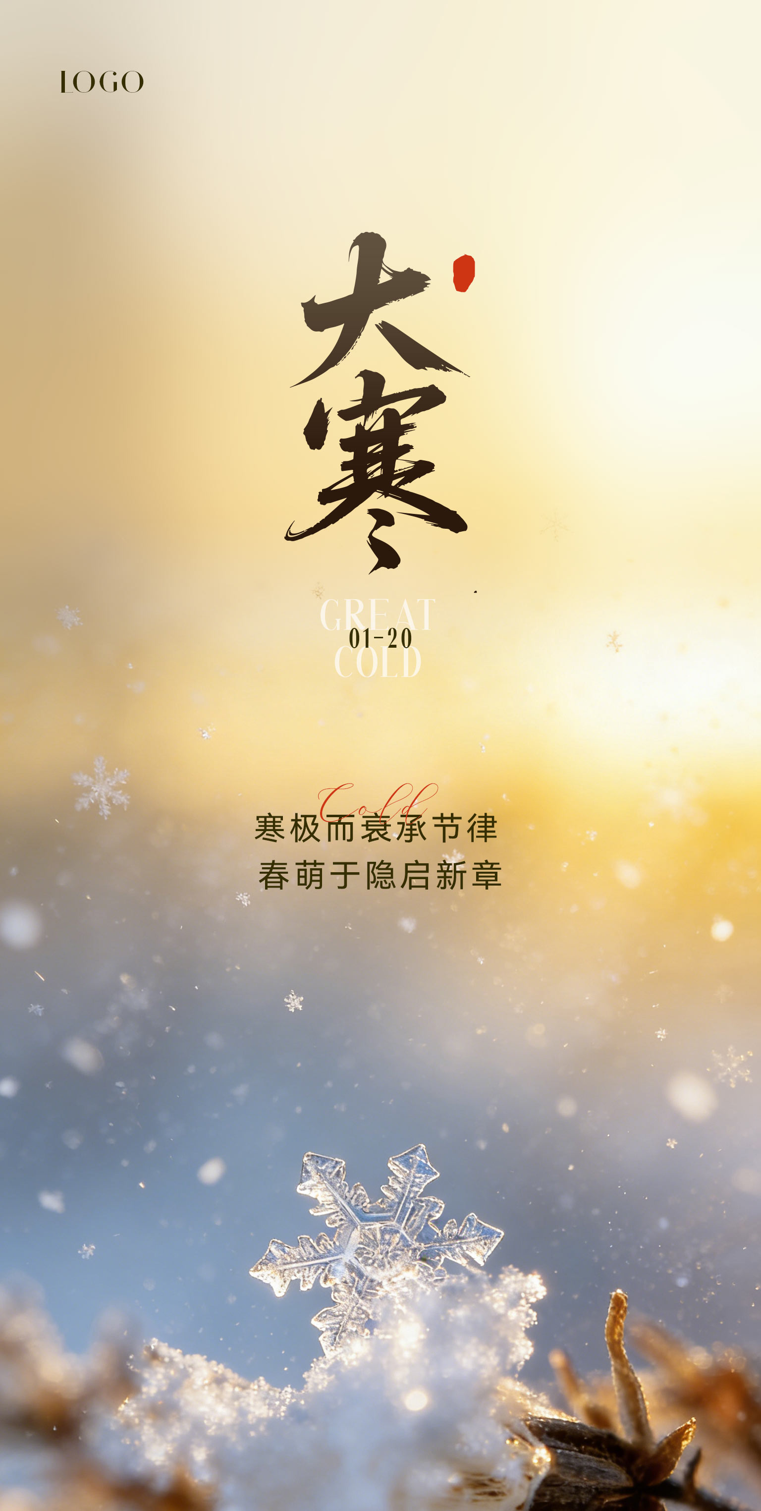 大寒小寒节气特写写意海报