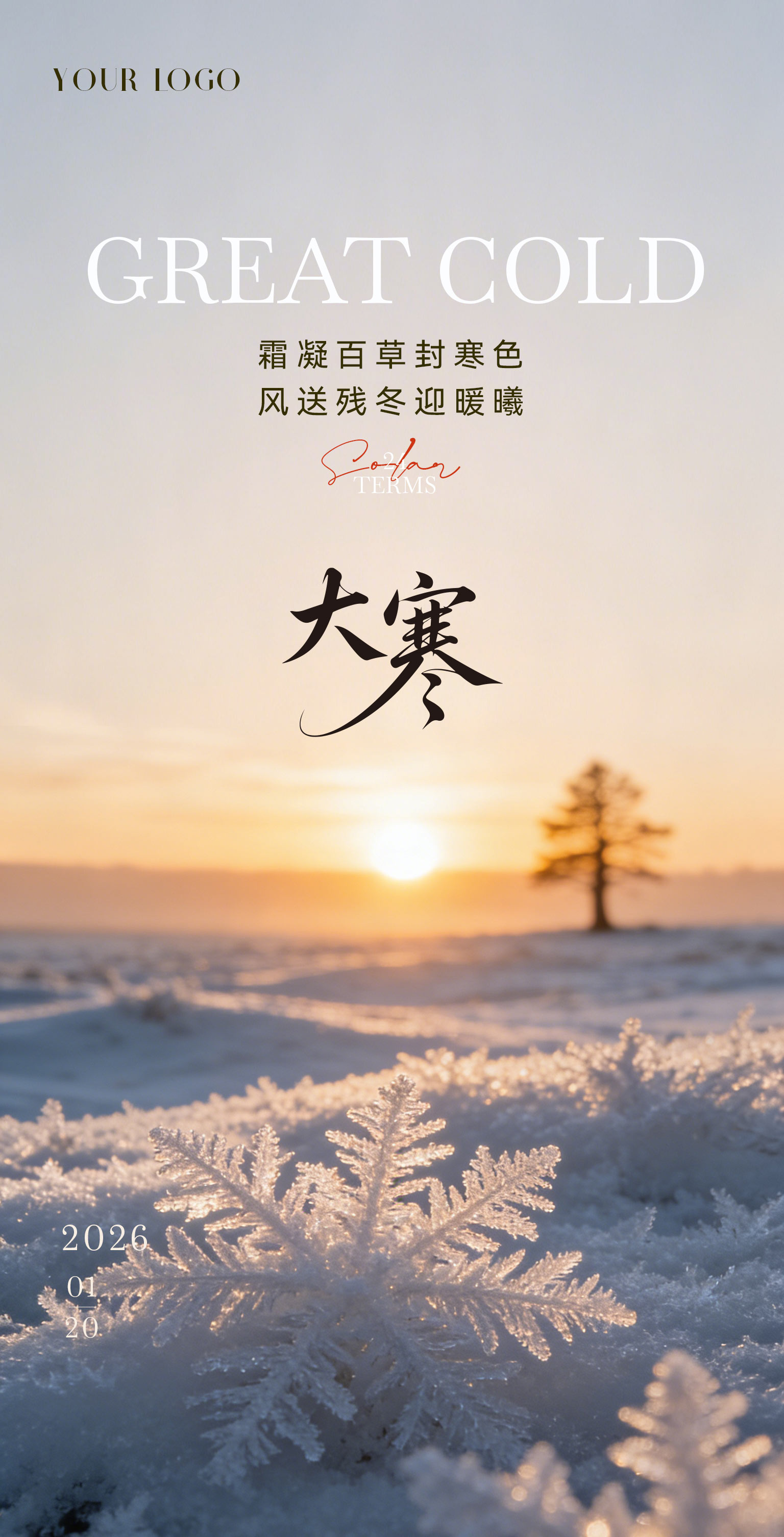 真实感大寒小寒冬日节气海报