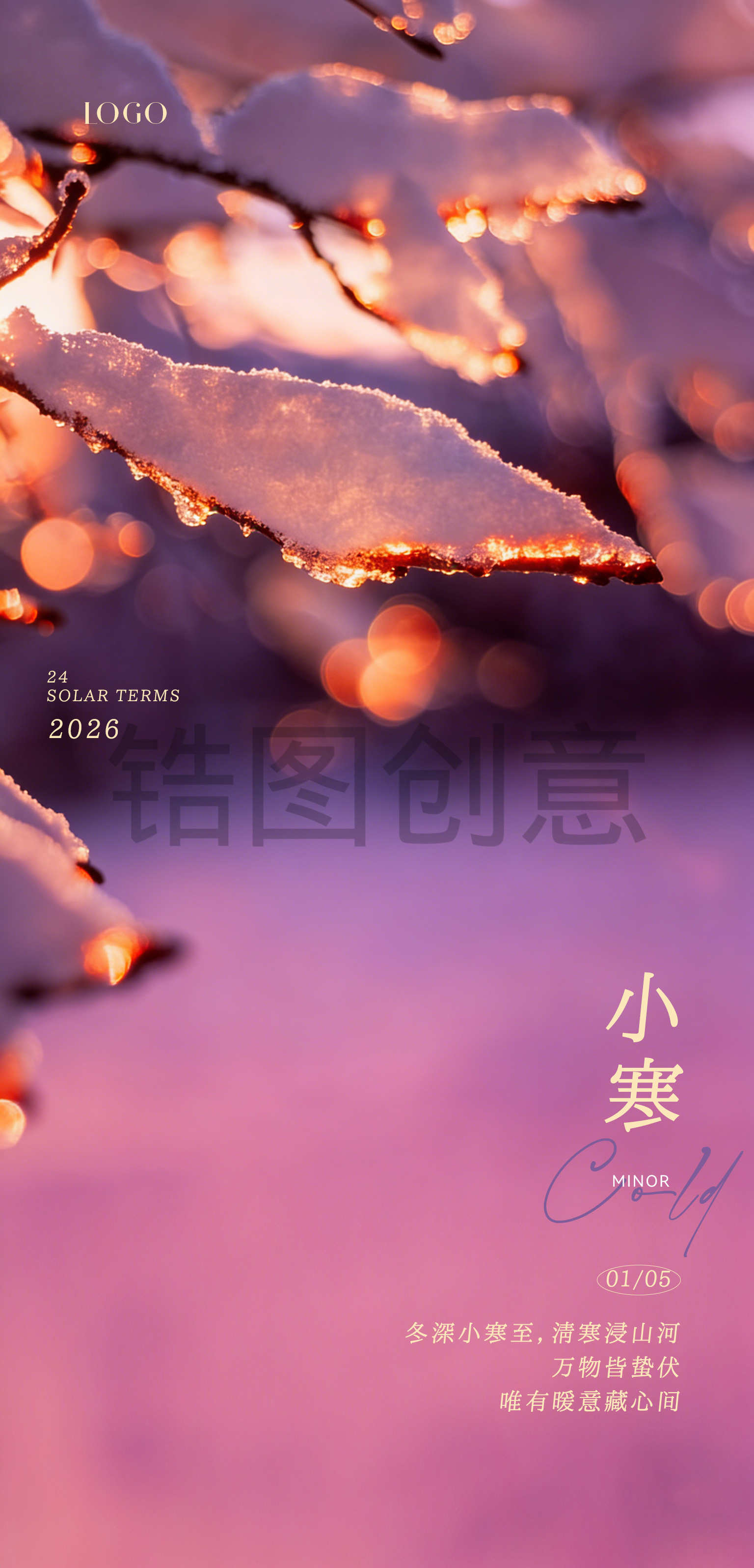 医美小寒大寒节气写实感海报