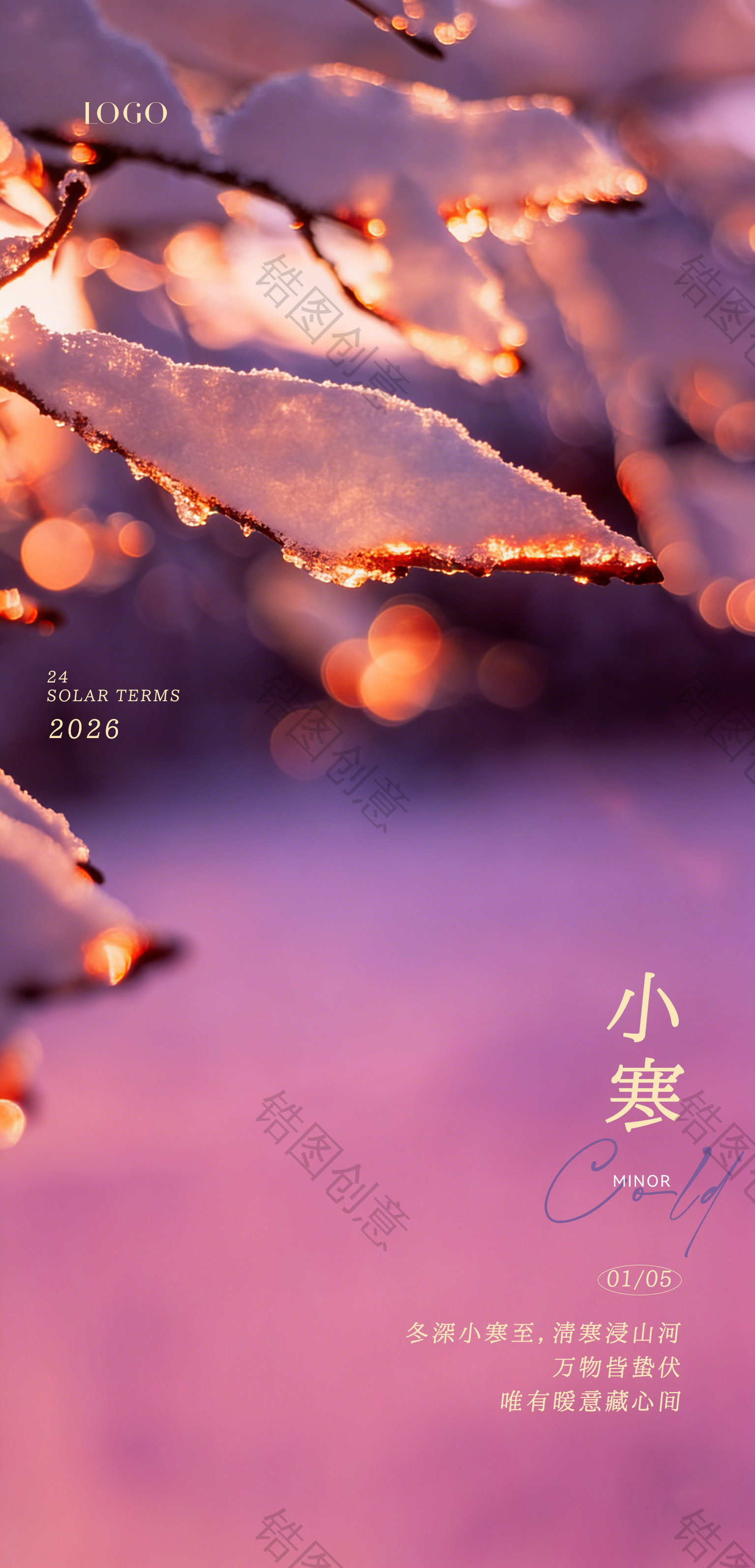 医美小寒大寒节气写实感海报