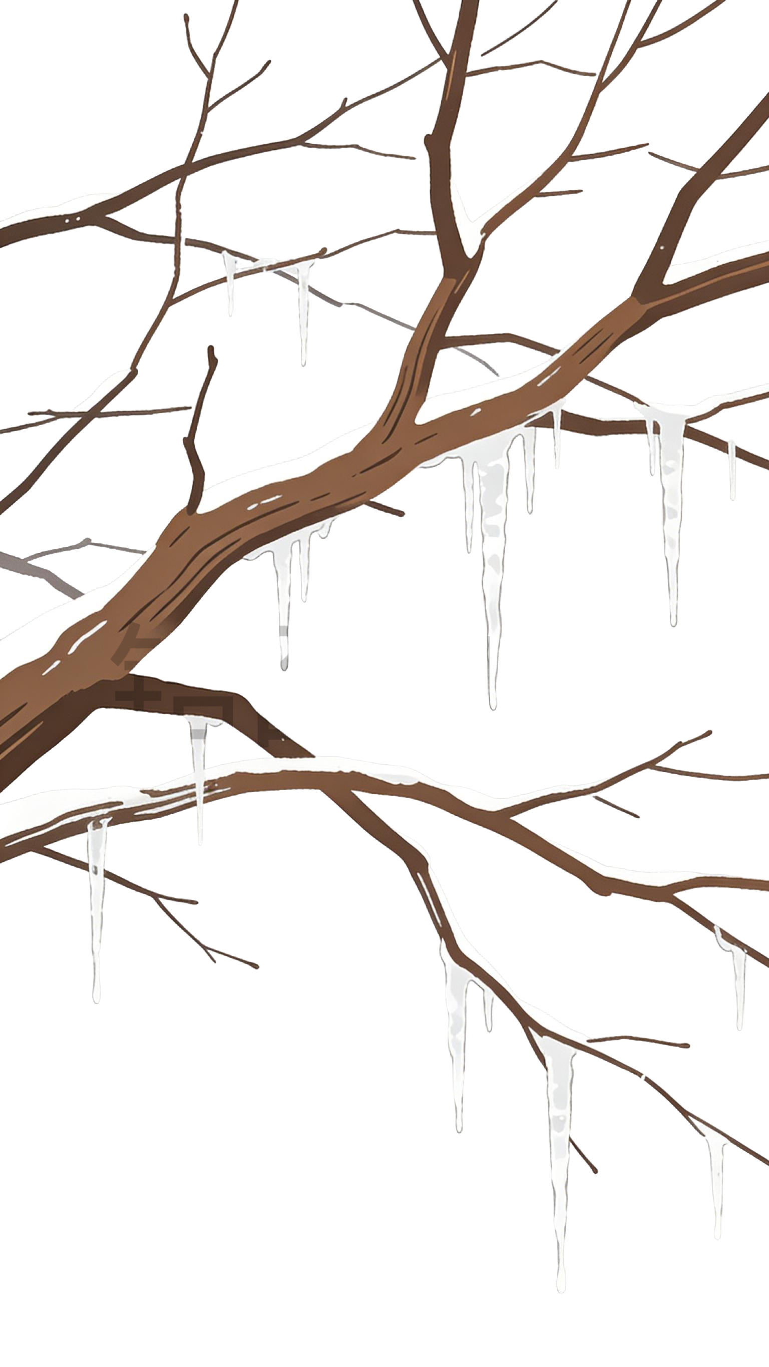 冬日植物树枝枝干插画元素