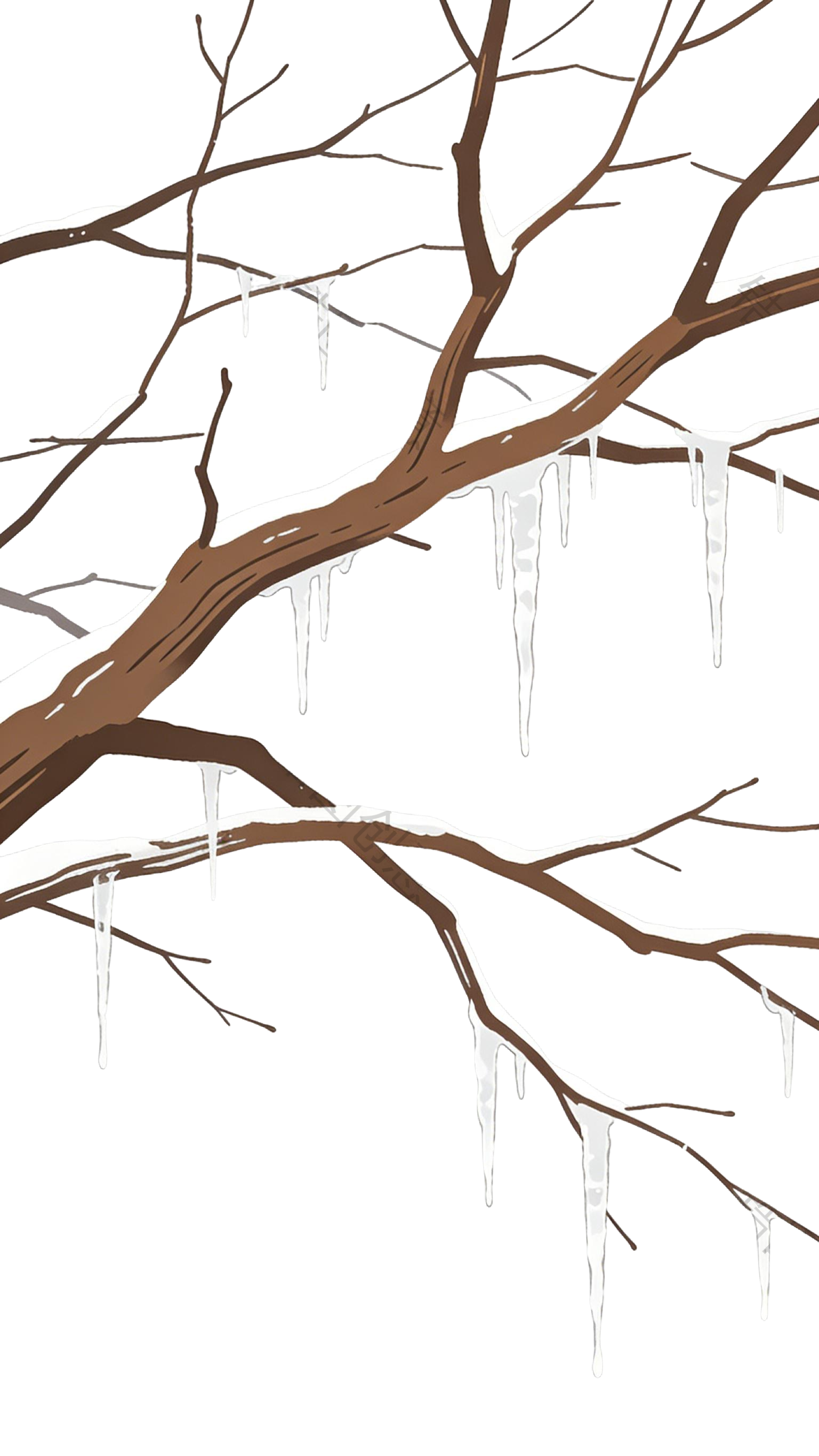 冬日植物树枝枝干插画元素