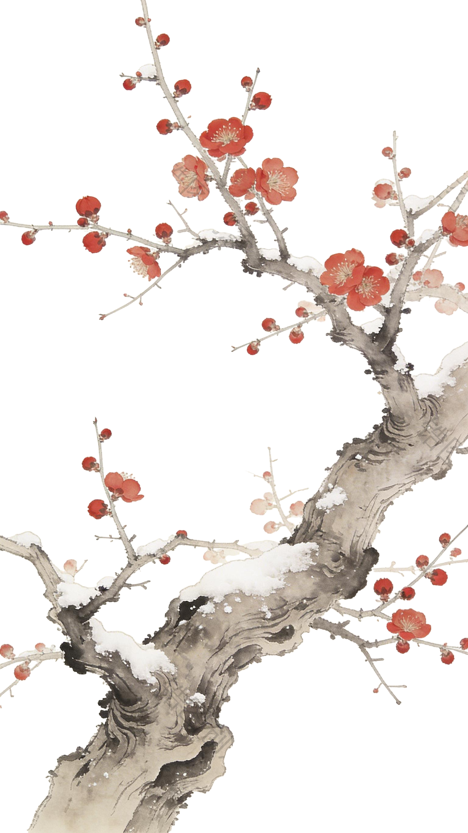 中国风梅花元素