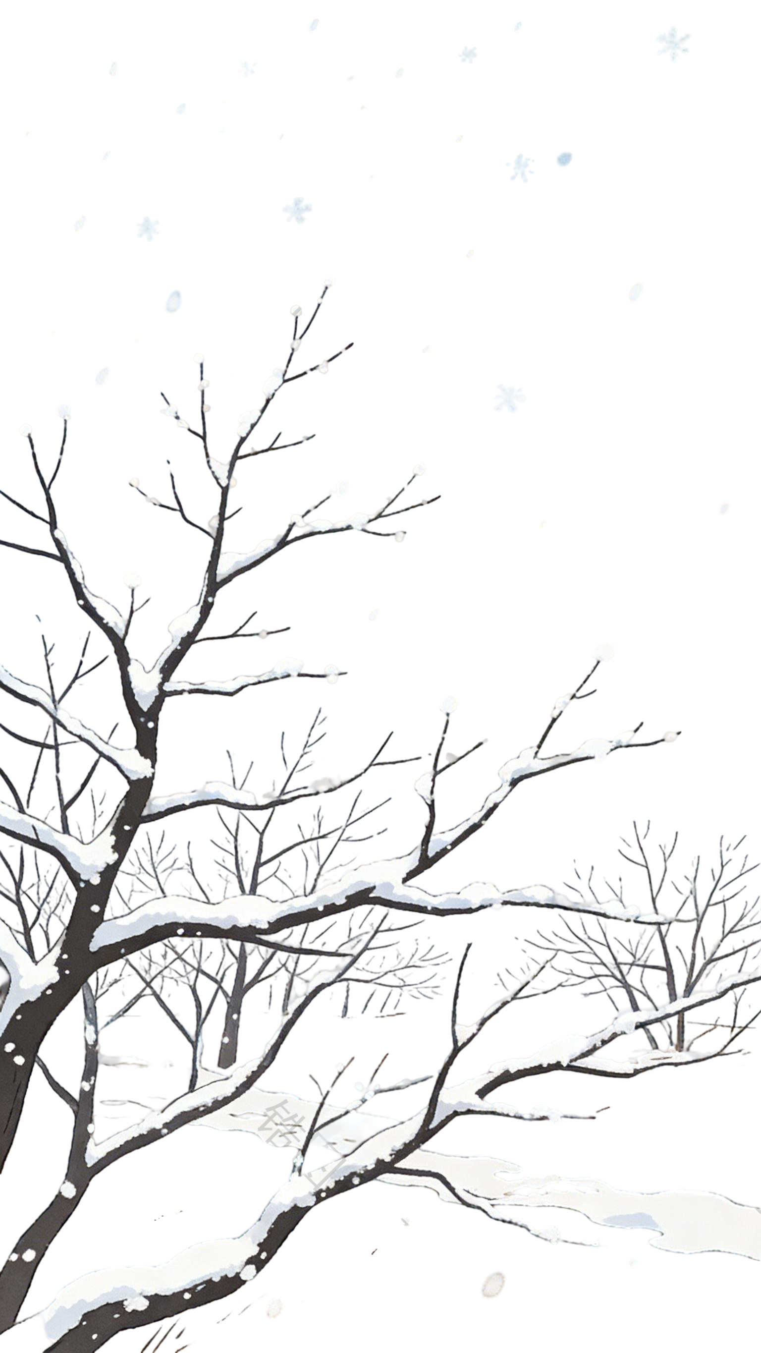 冬天树枝插画元素