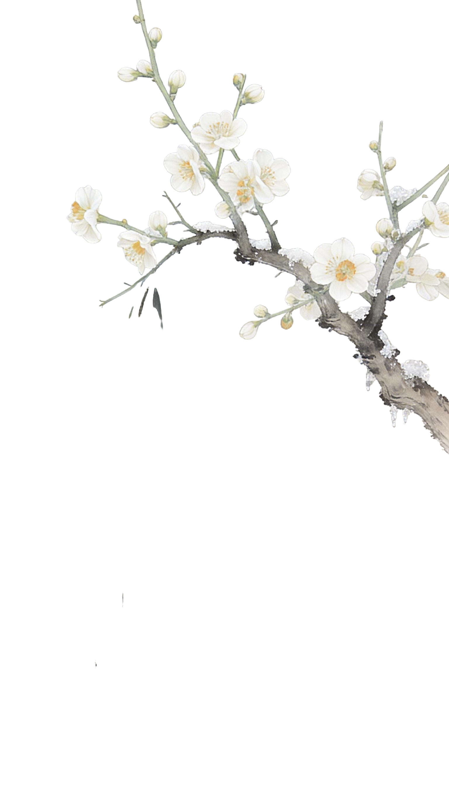 国风水墨梅花元素