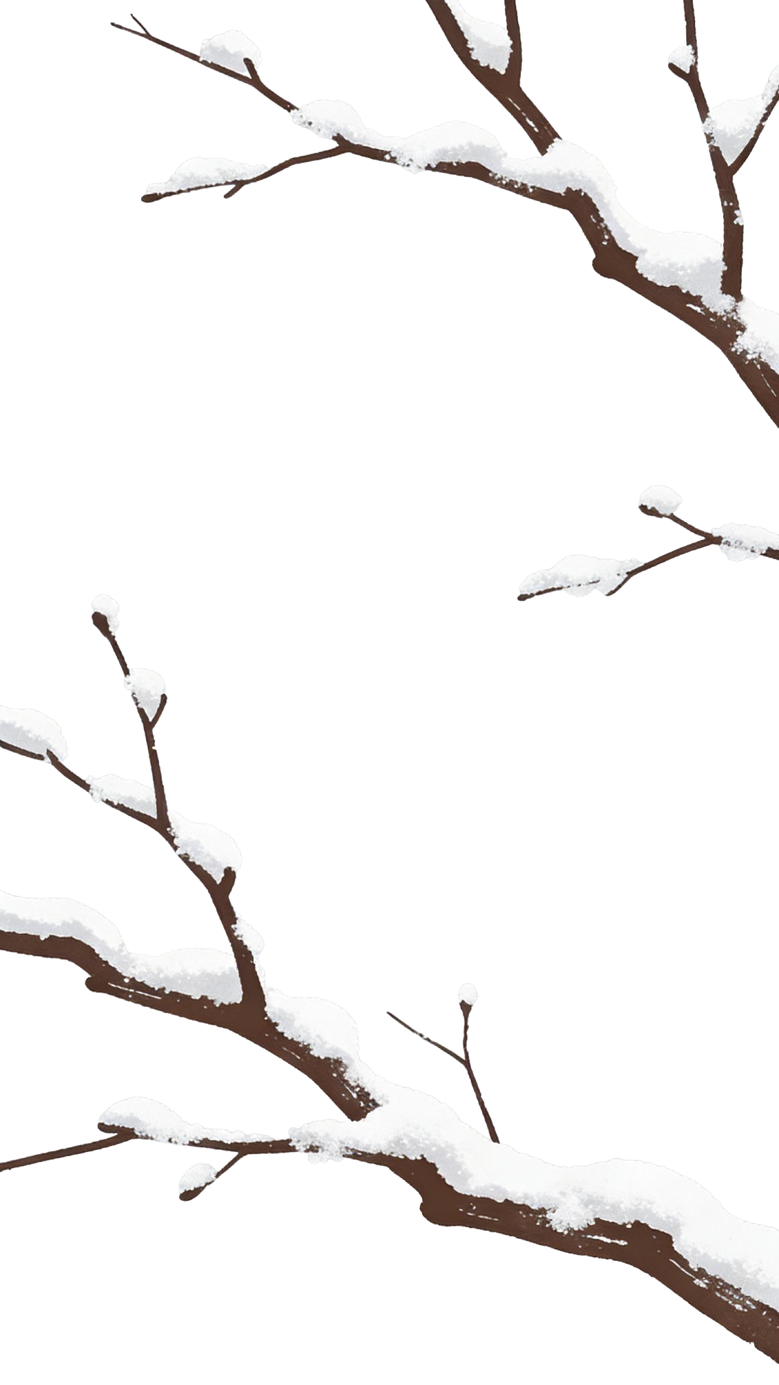 冬日植物树枝枝干中国风插画元素