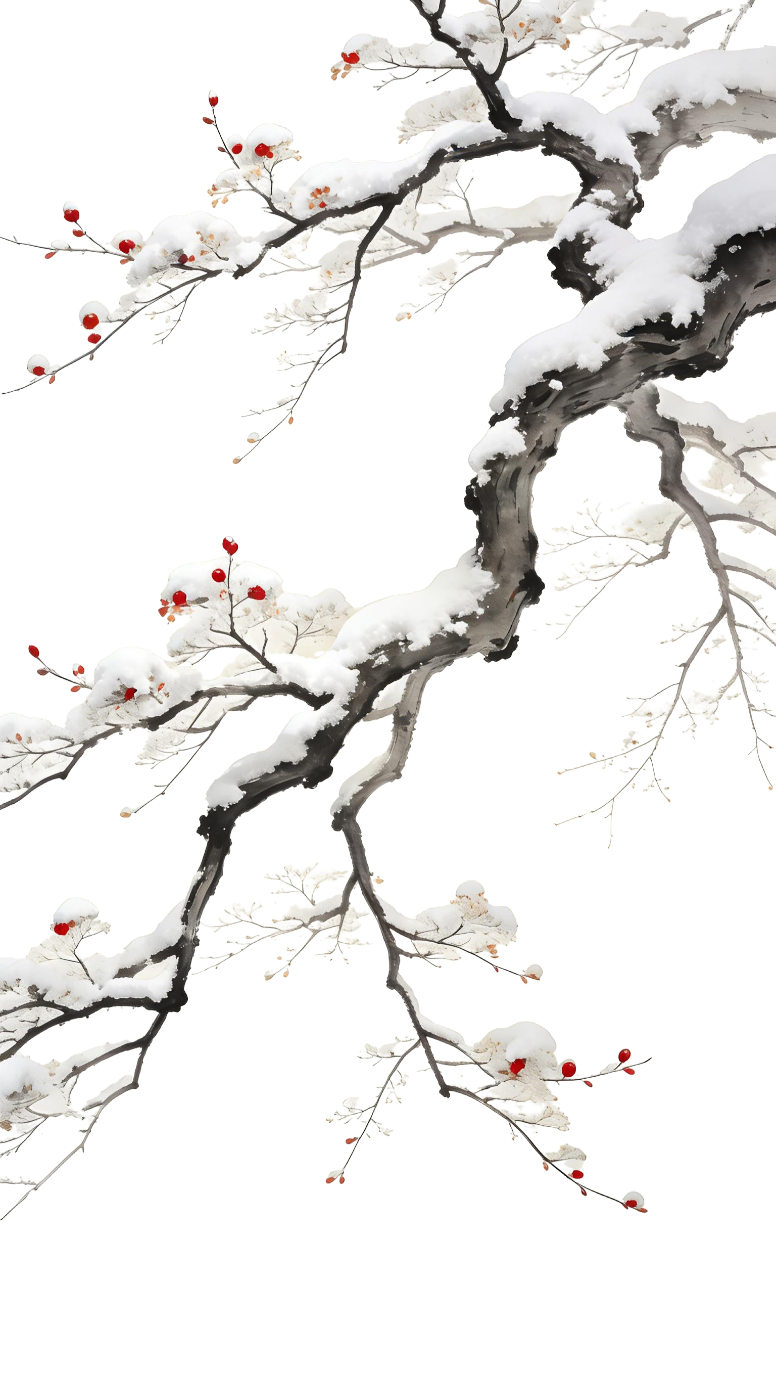 中国风水墨画梅花树枝元素