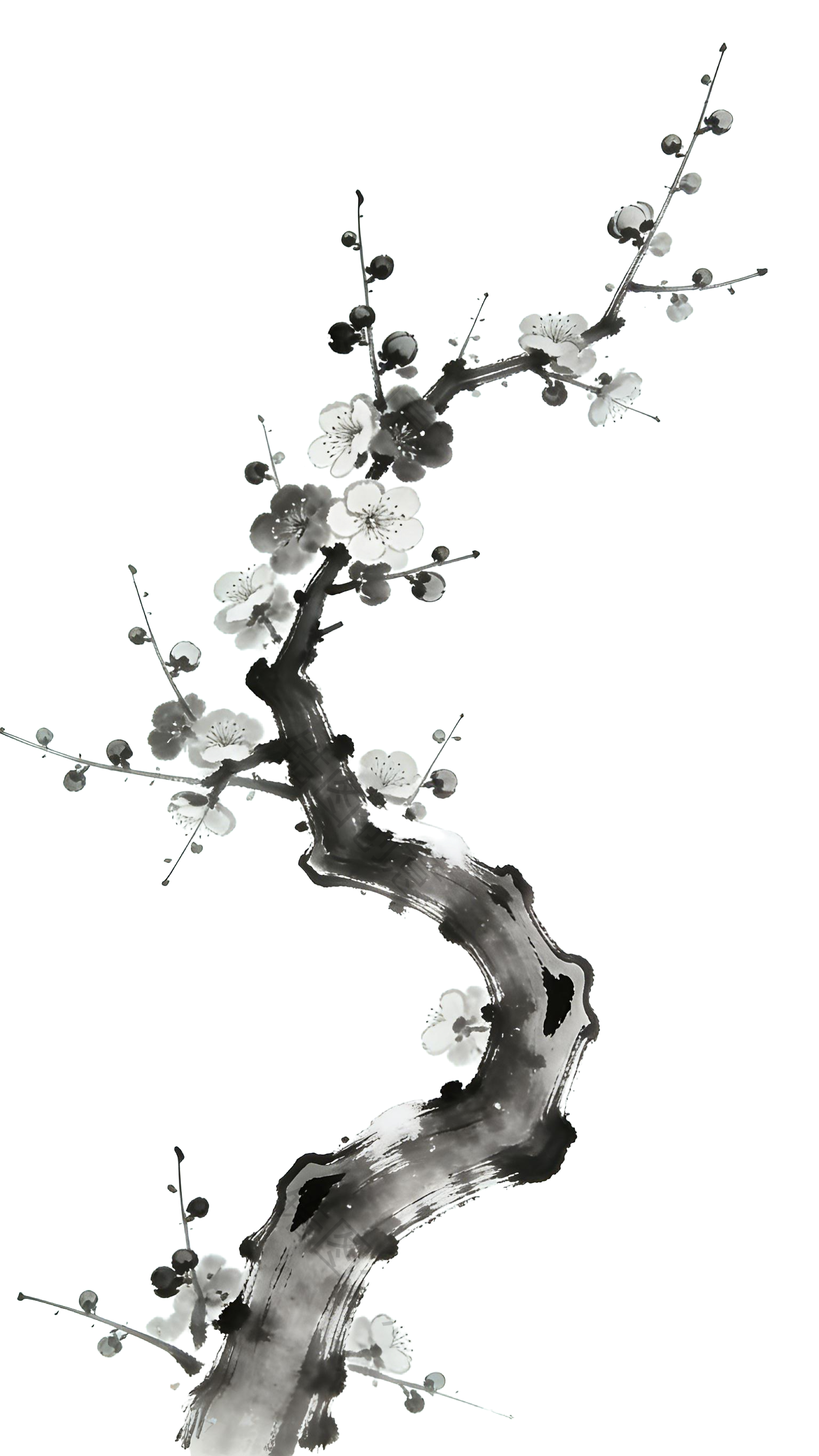 国风水墨梅花元素