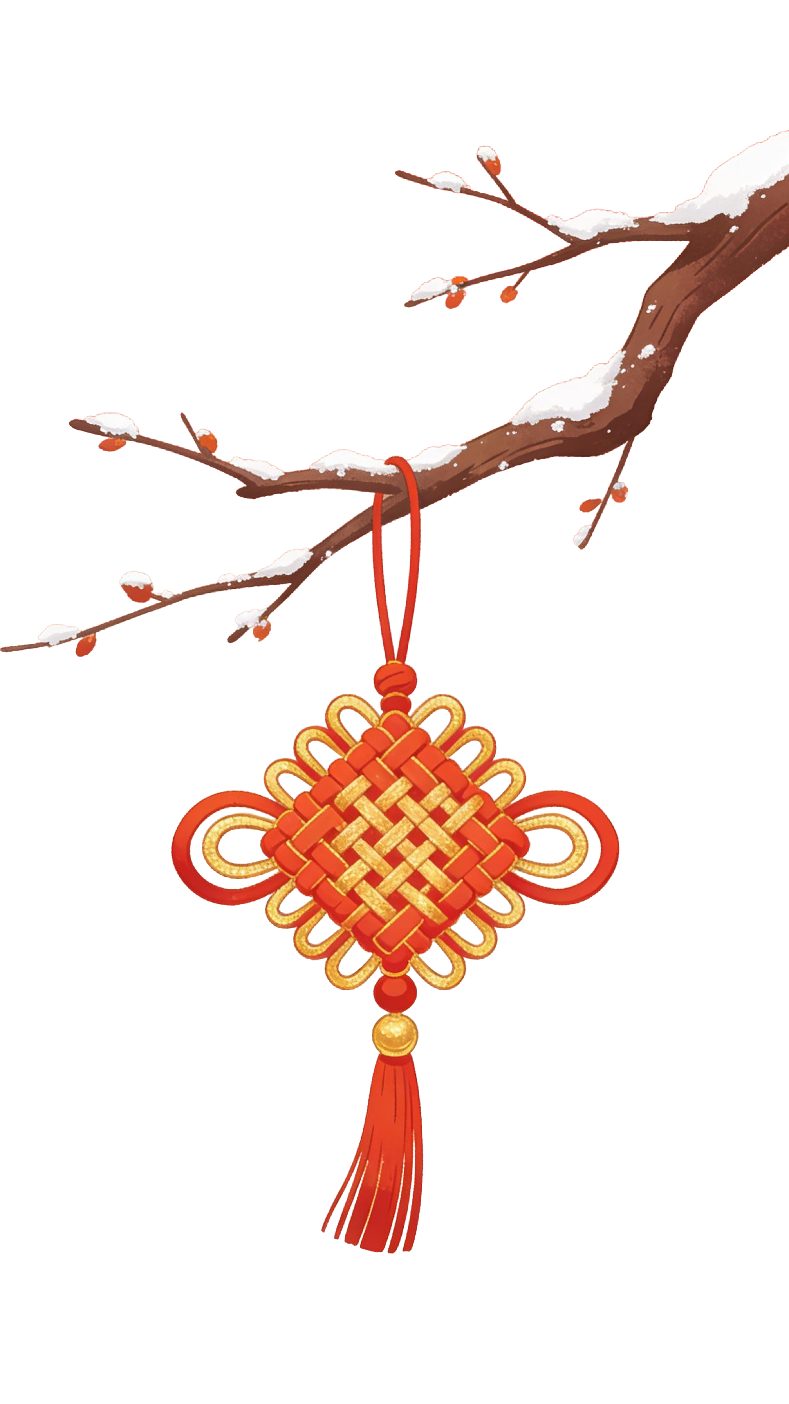 冬日植物树枝枝干插画元素