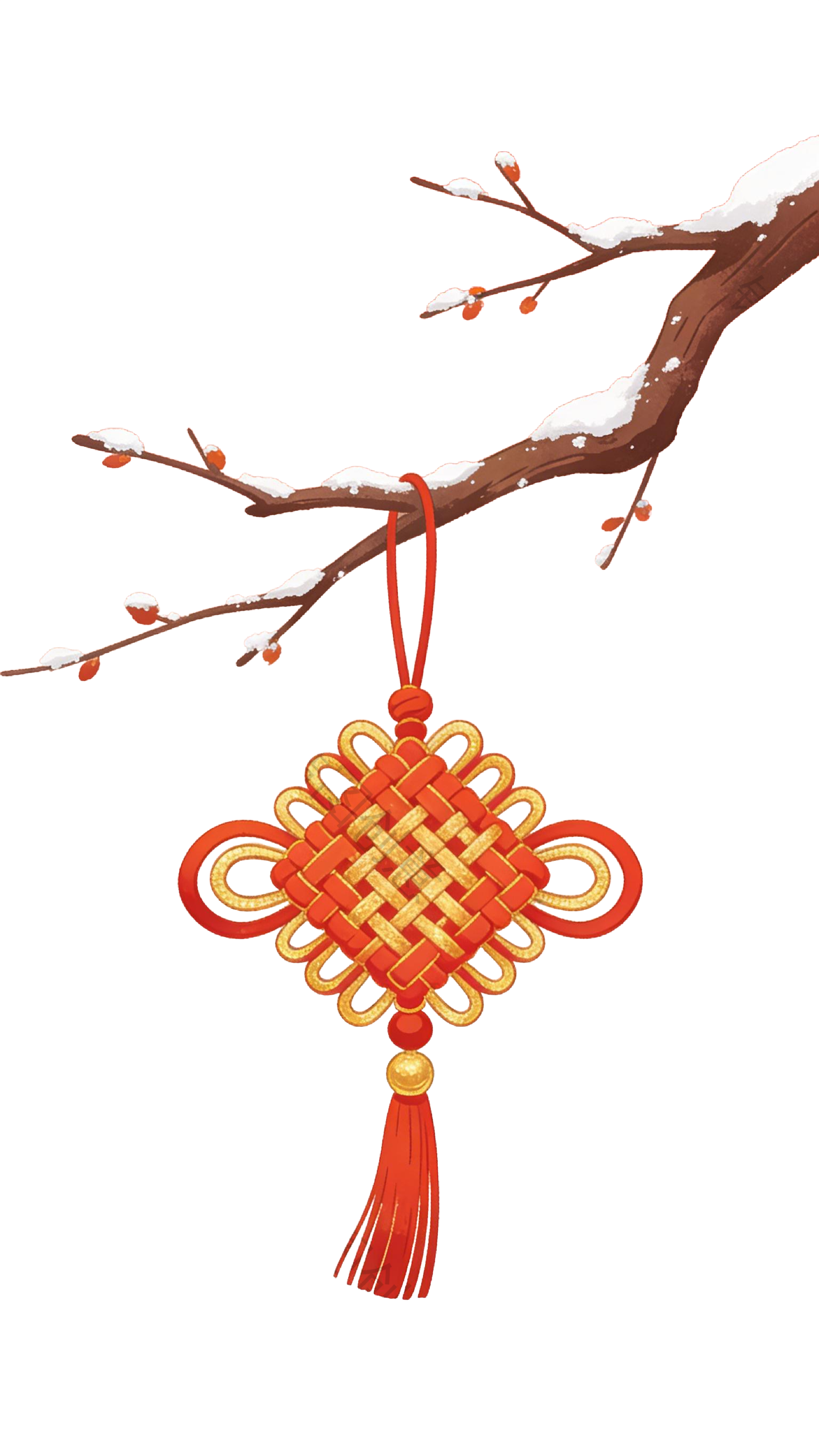 冬日植物树枝枝干插画元素