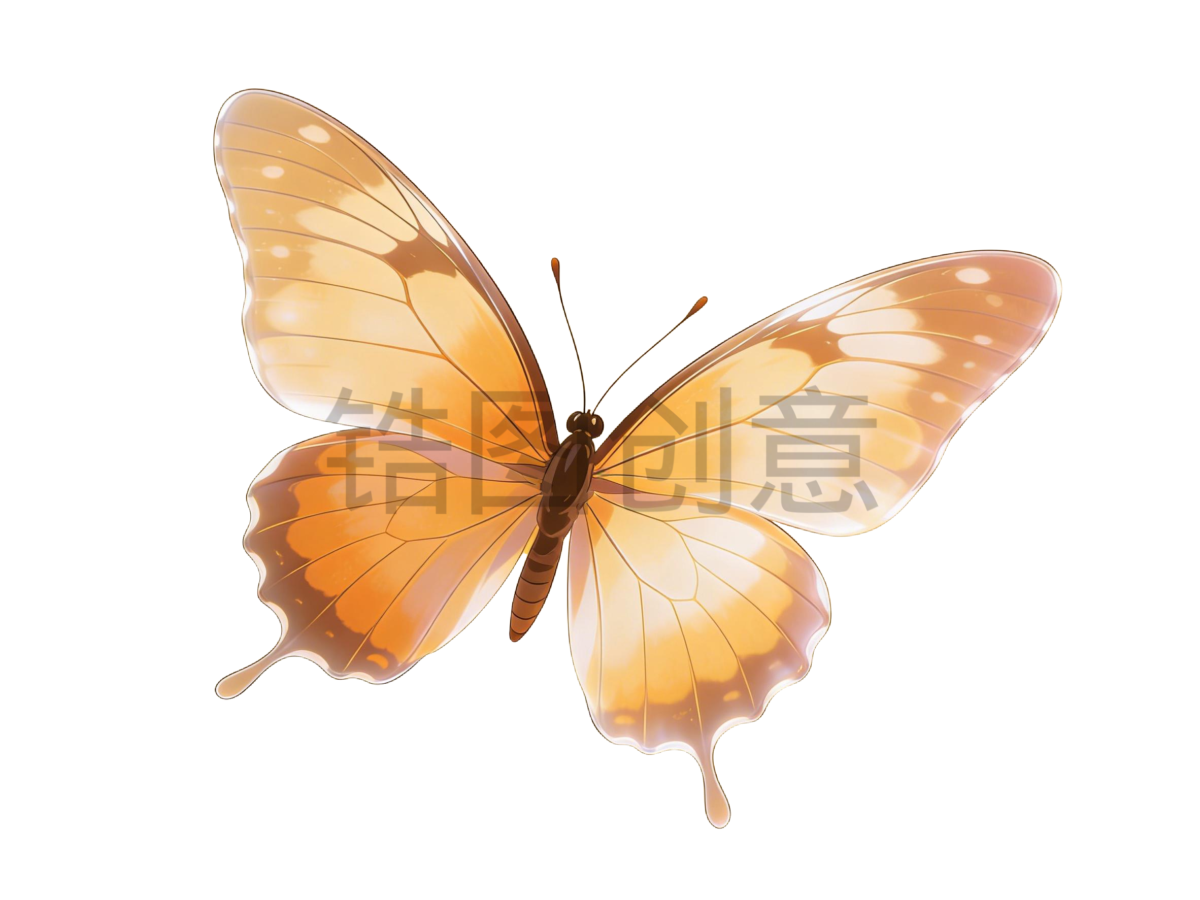 昆虫系列蝴蝶插画元素