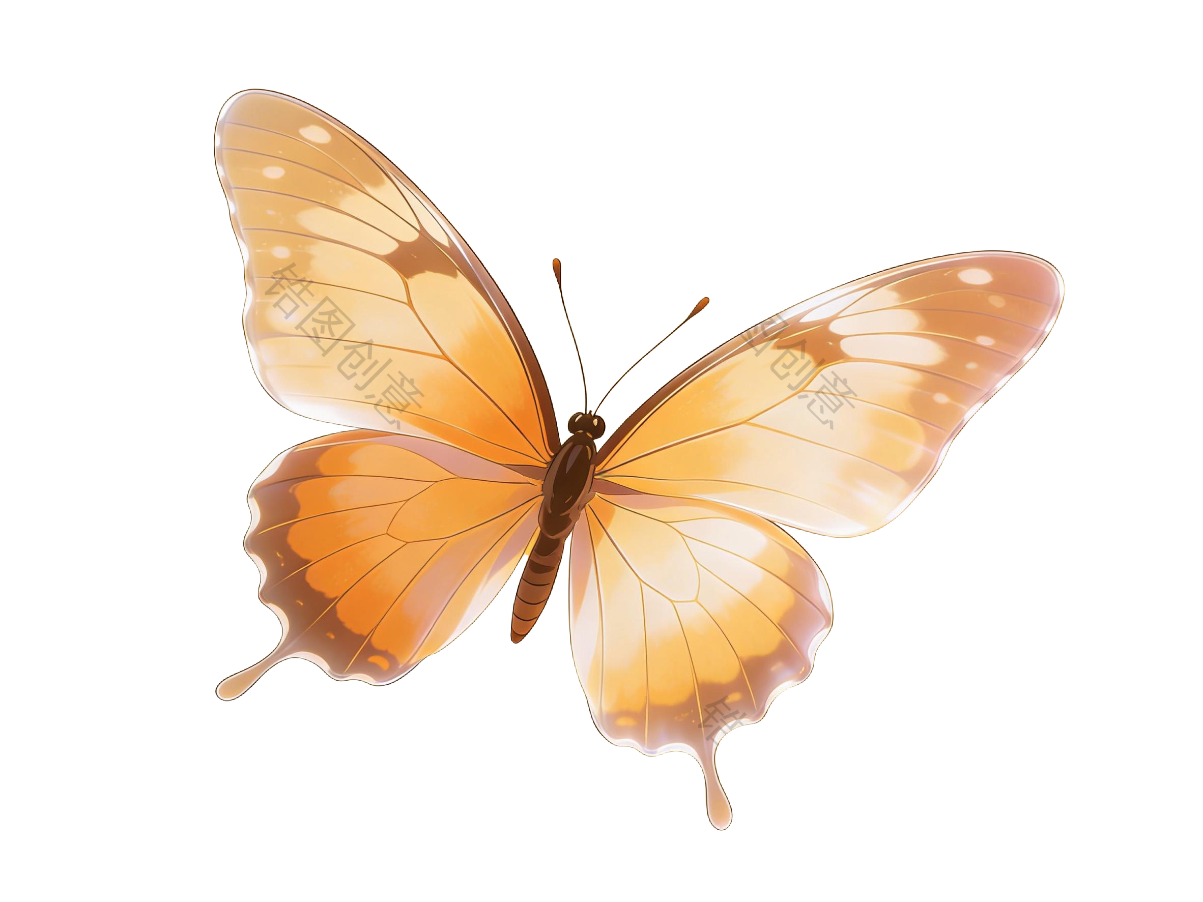 昆虫系列蝴蝶插画元素