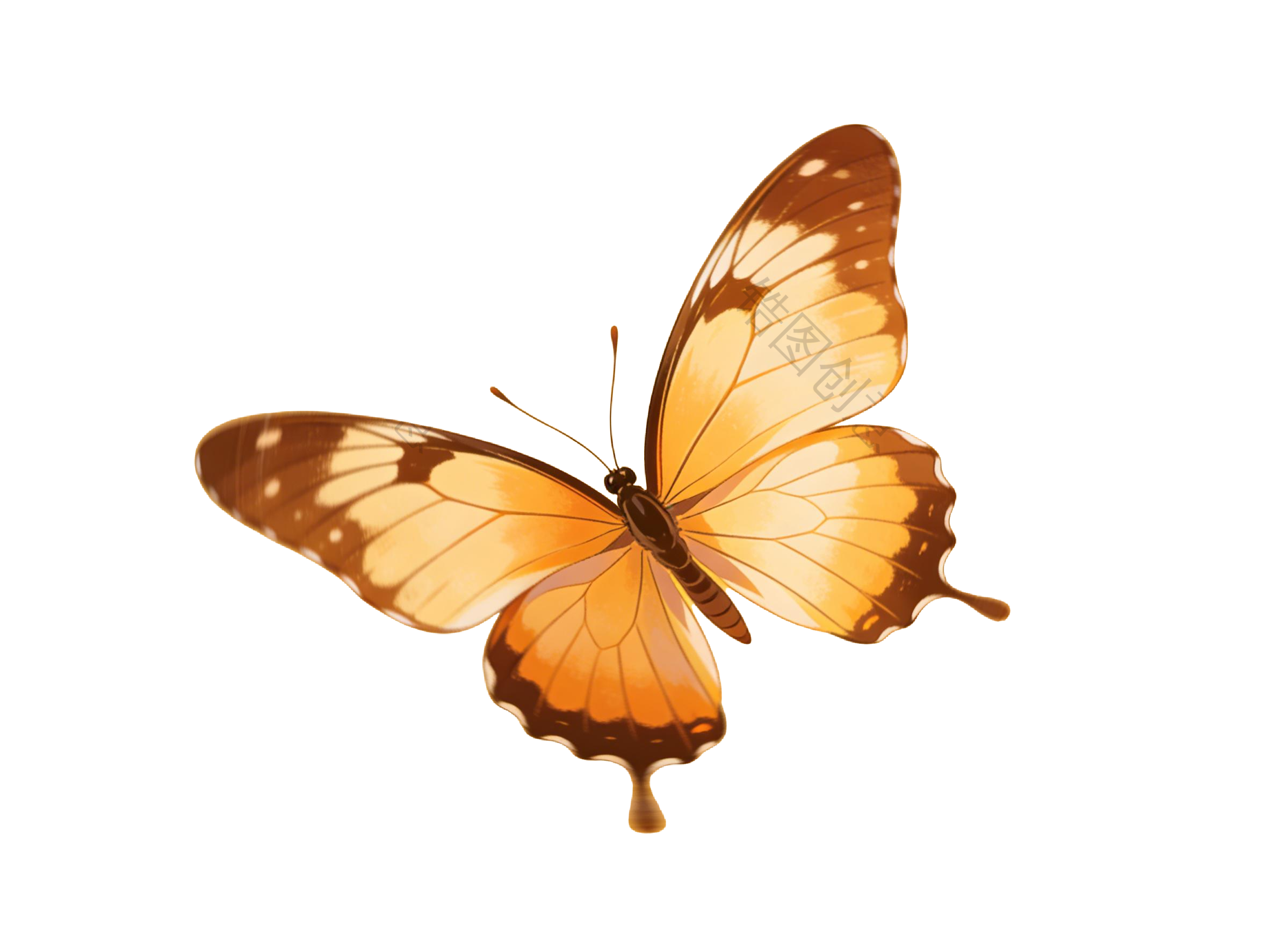 昆虫系列蝴蝶插画元素