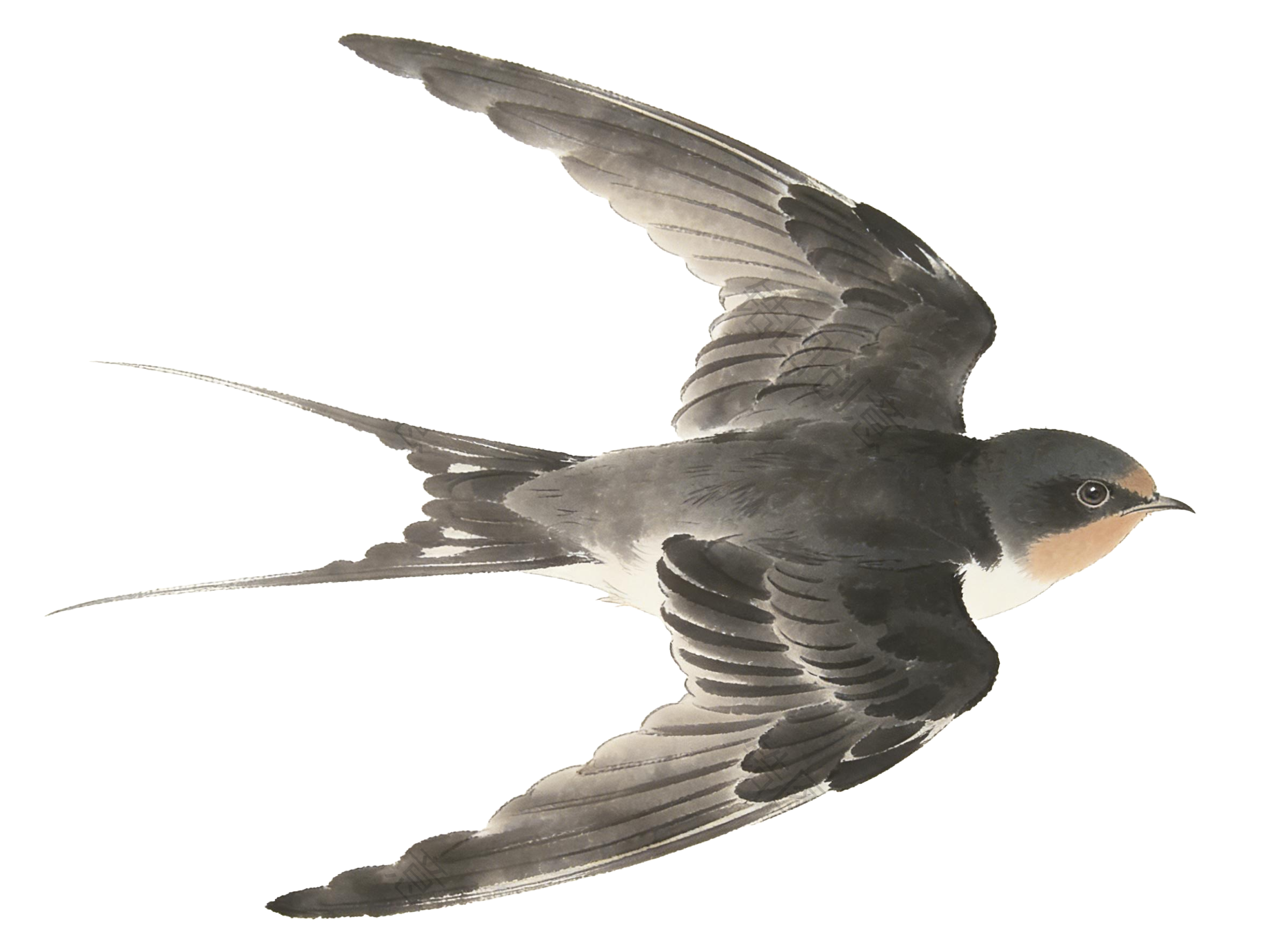 水墨国风燕子元素