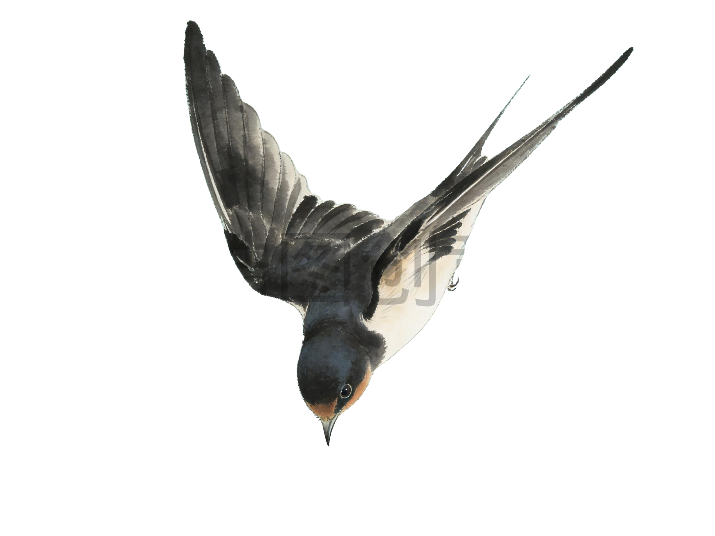 水墨国风飞行的燕子元素