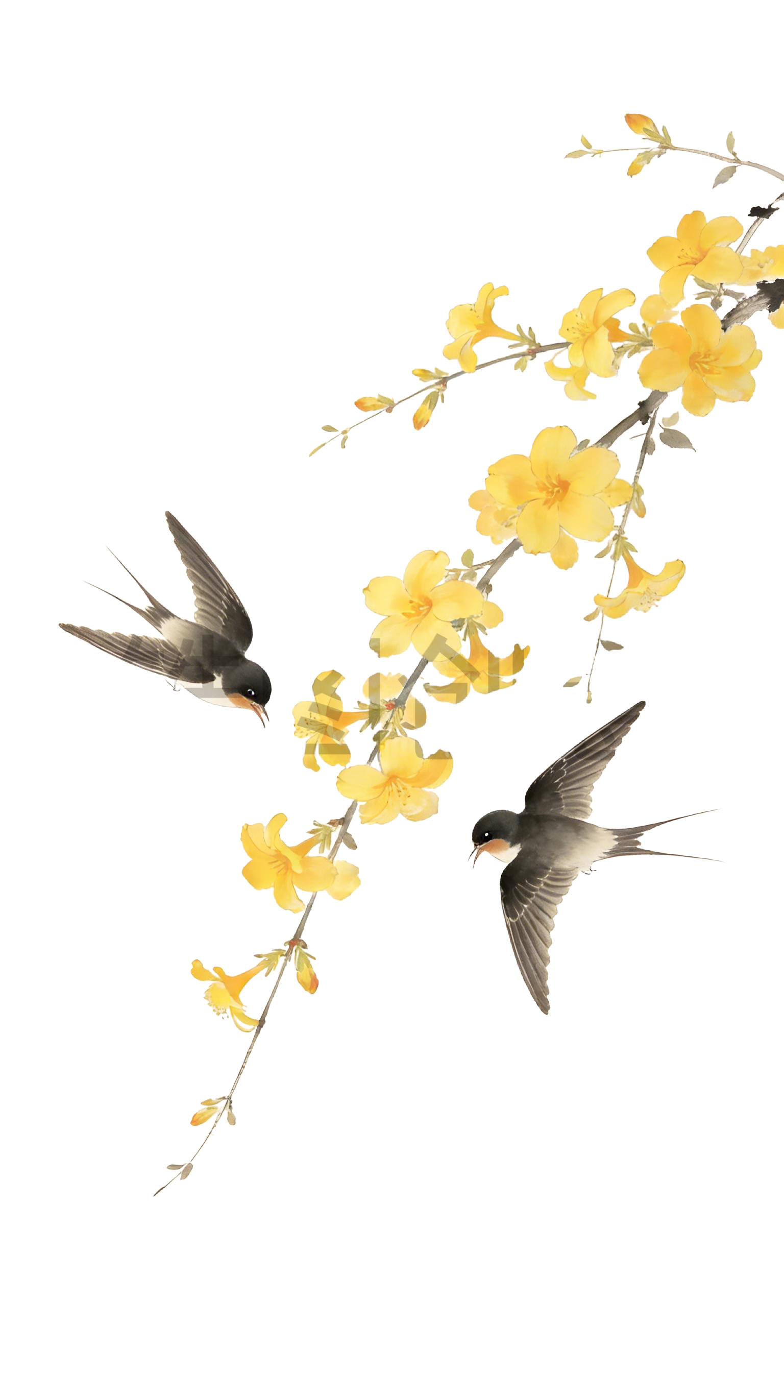 燕子插画元素