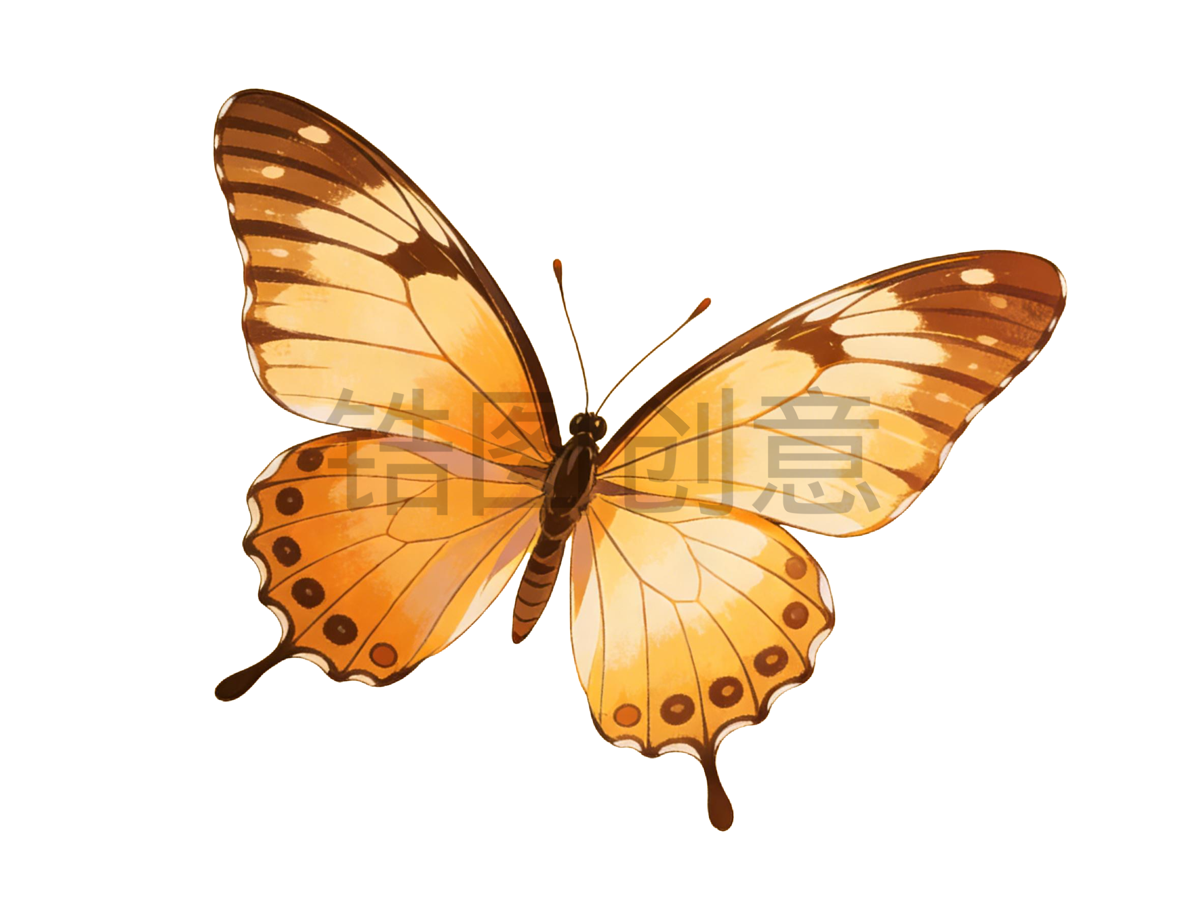 蝴蝶插画元素