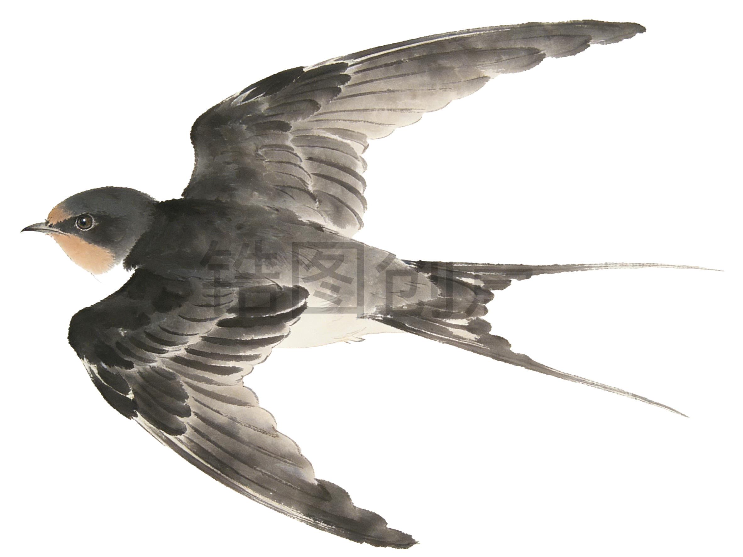 水墨国风飞行的燕子元素