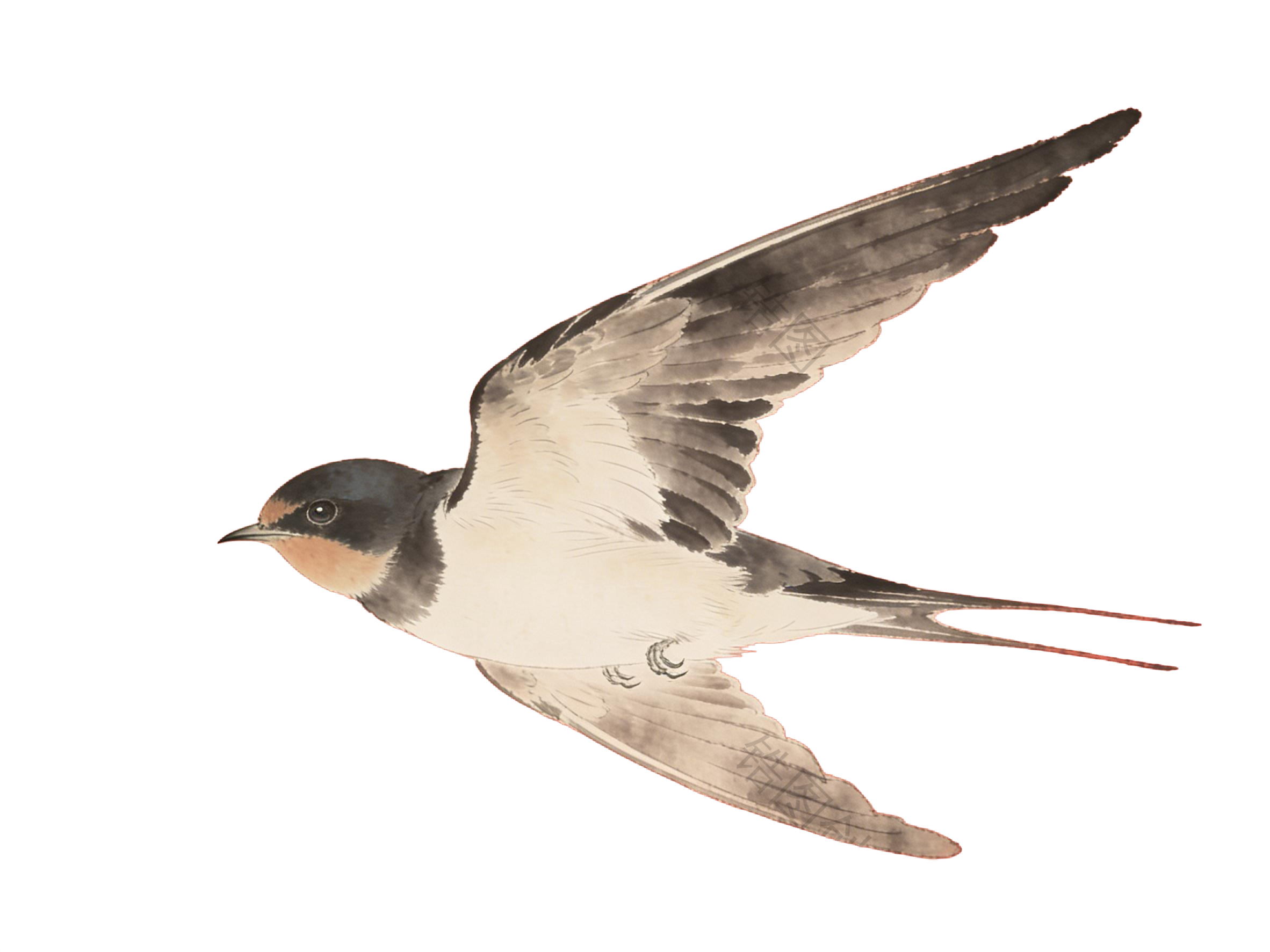 水墨国风飞行的燕子元素