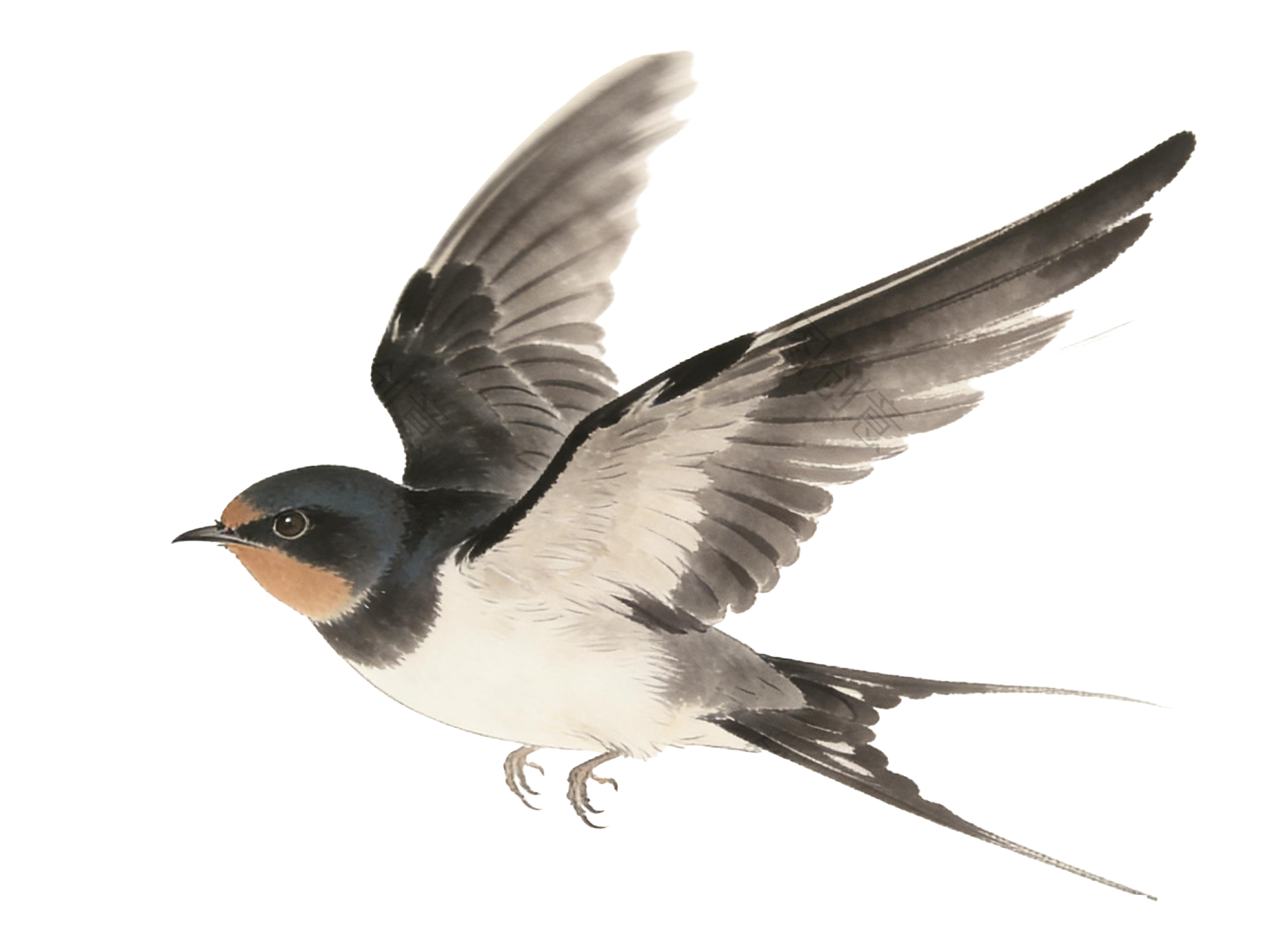 水墨国风飞行的燕子元素