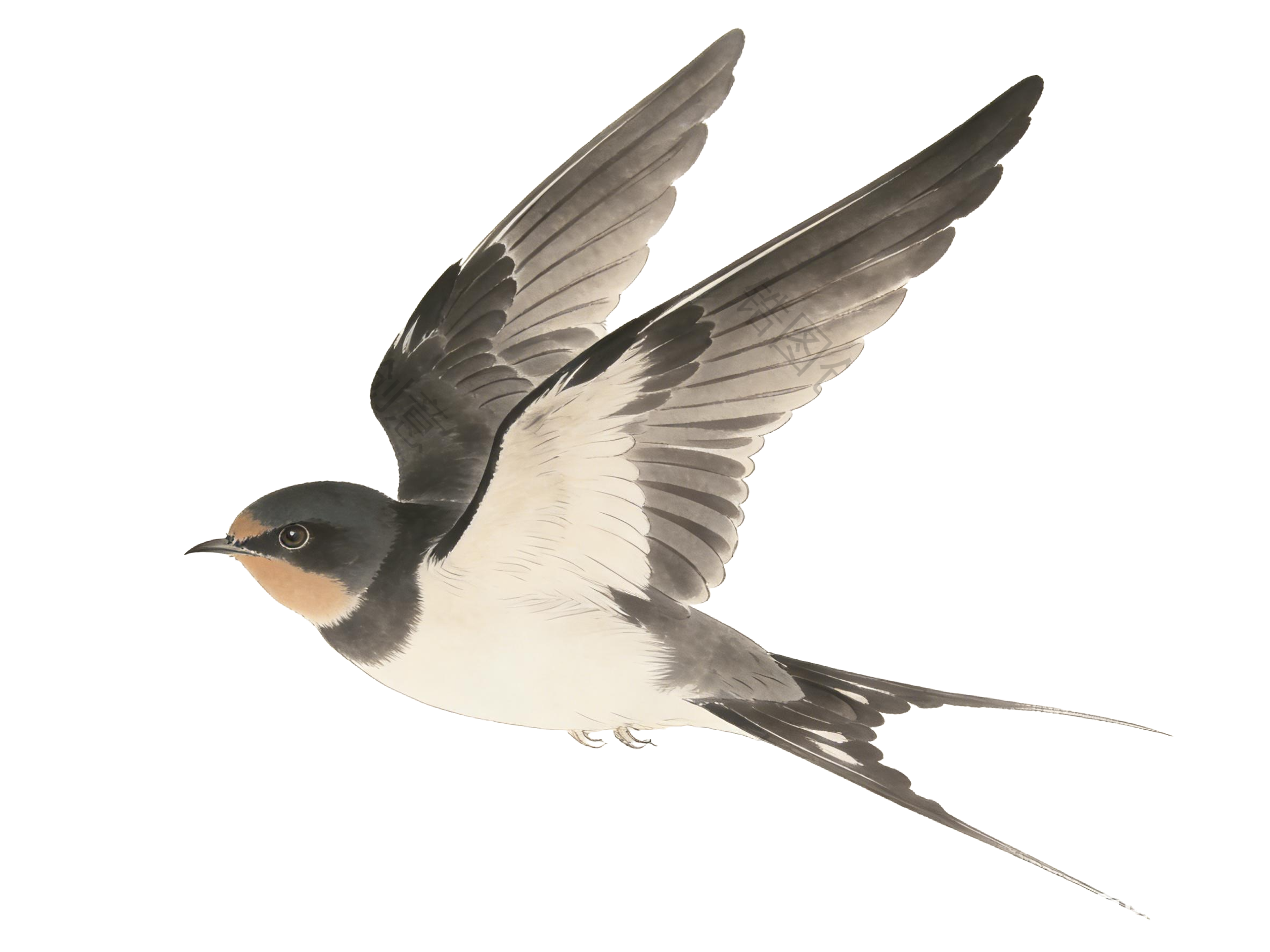 水墨国风飞行的燕子元素