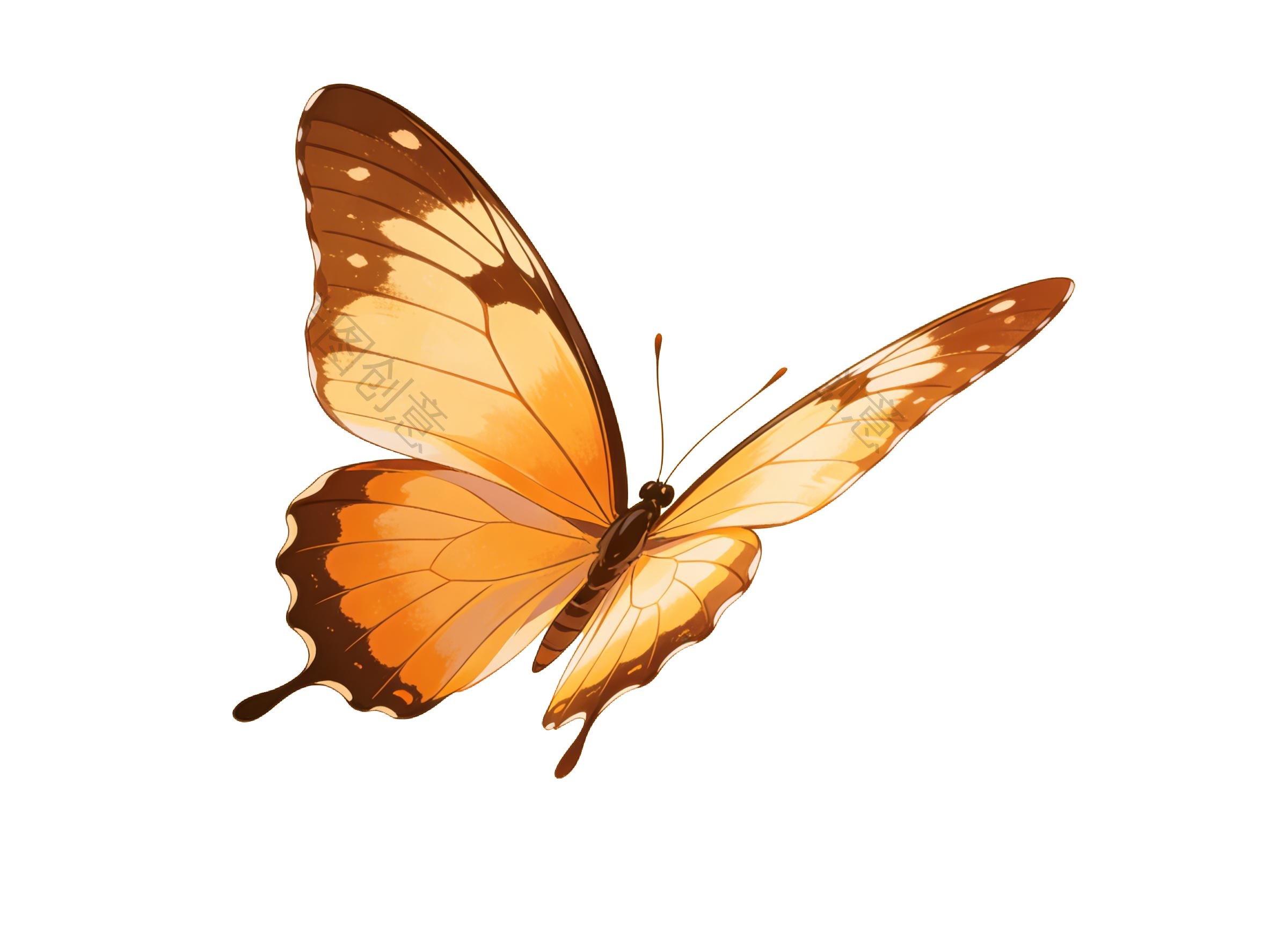 昆虫系列蝴蝶插画元素