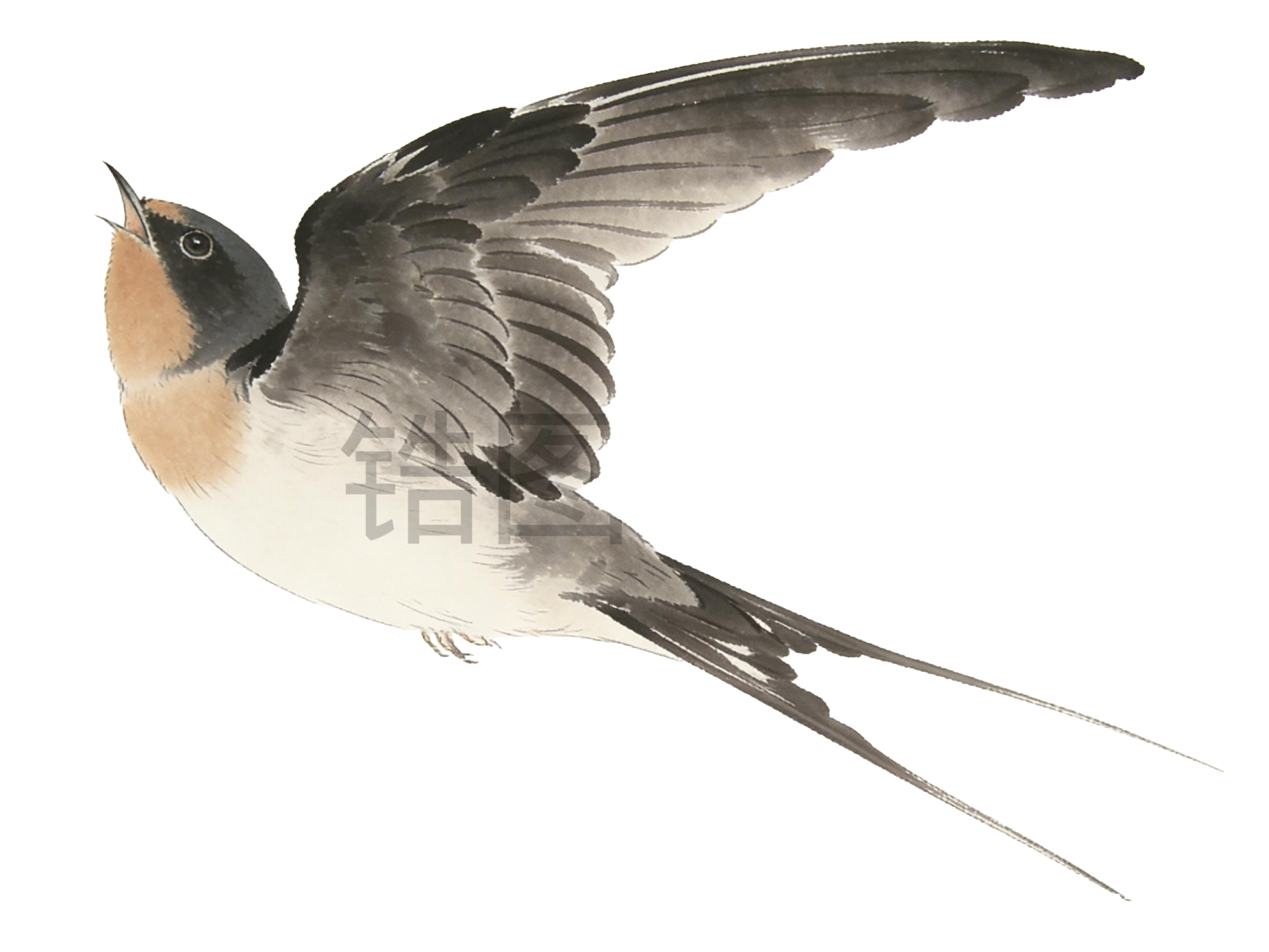 水墨国风燕子元素