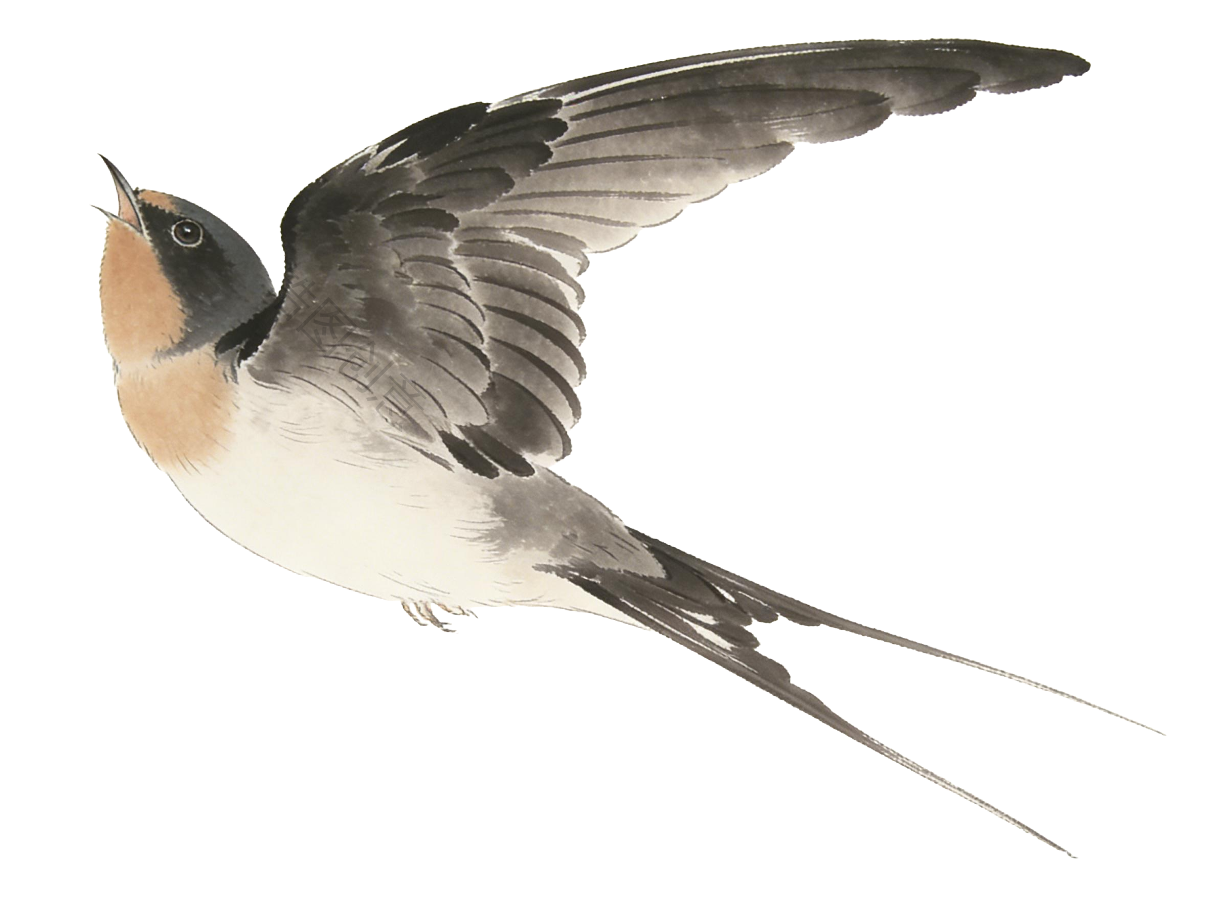 水墨国风燕子元素