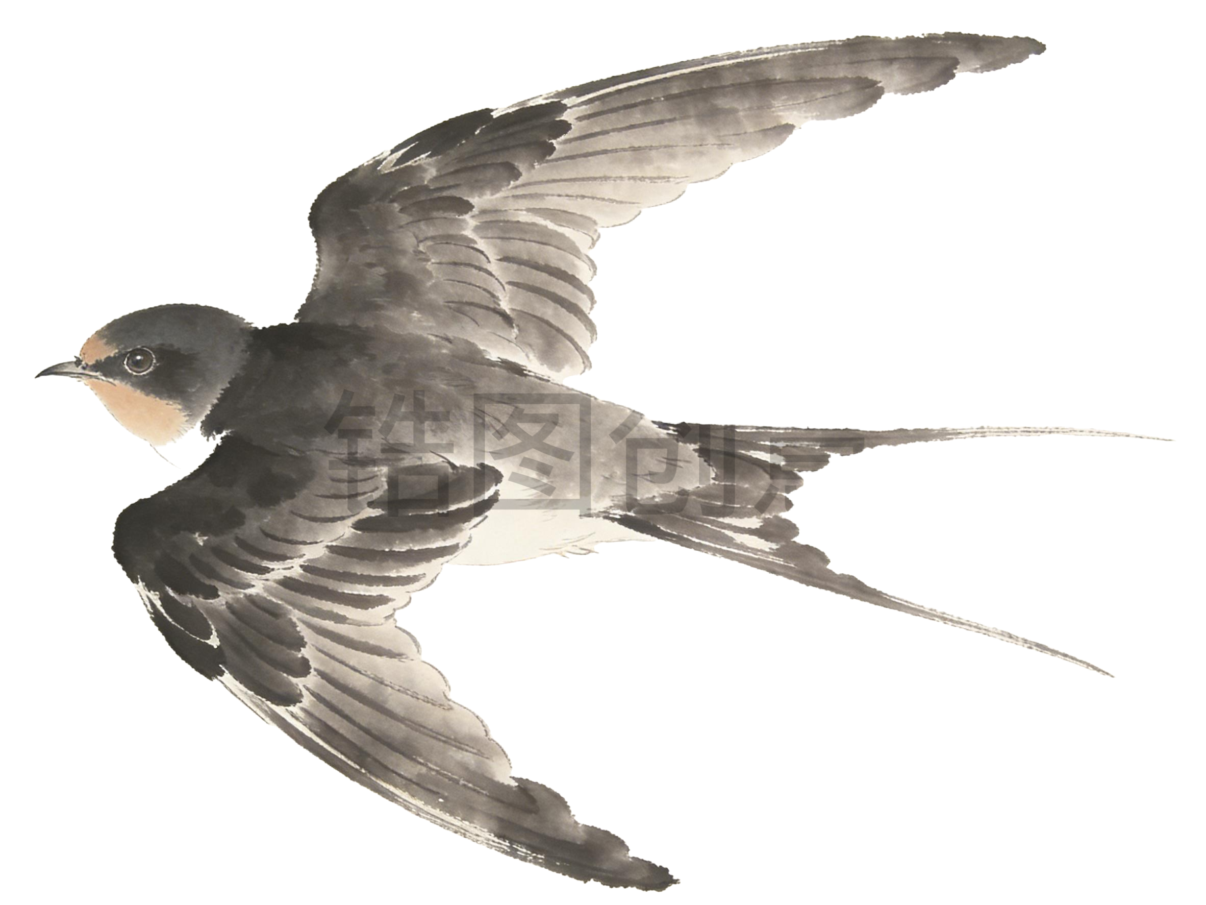 水墨国风飞行的燕子元素