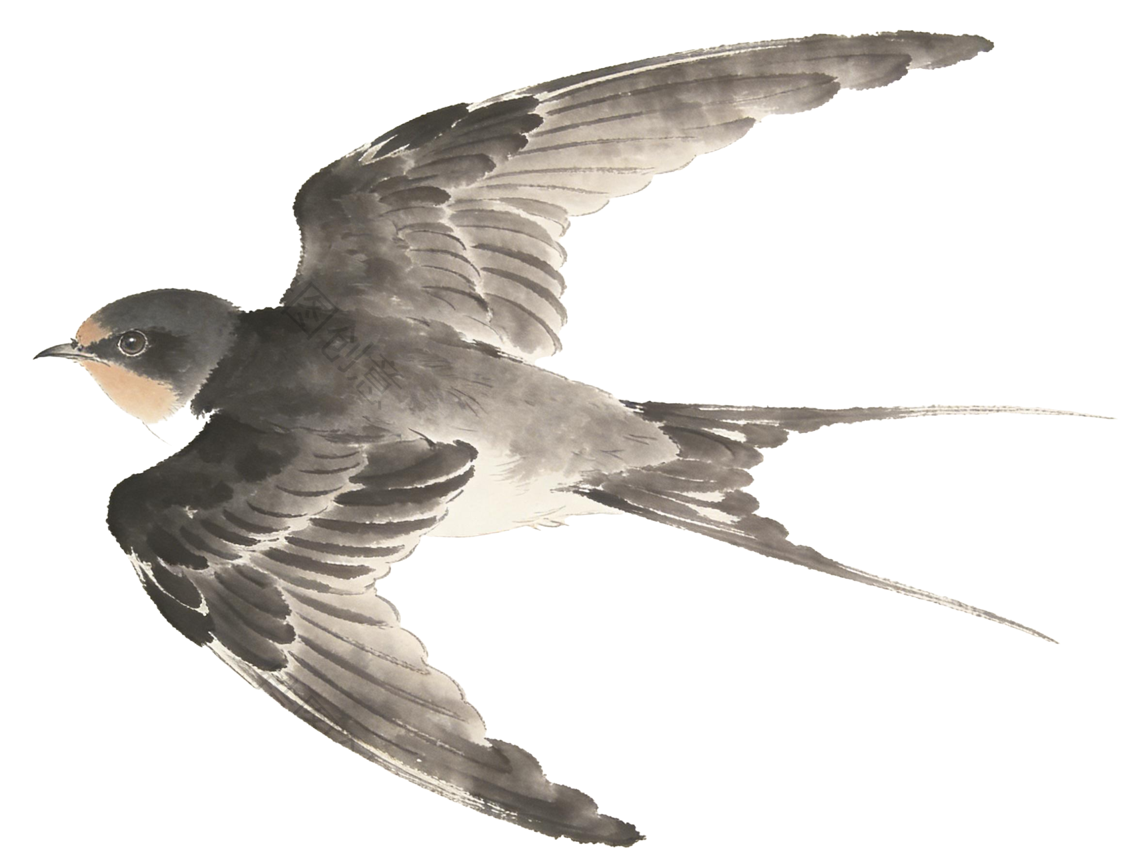 水墨国风飞行的燕子元素