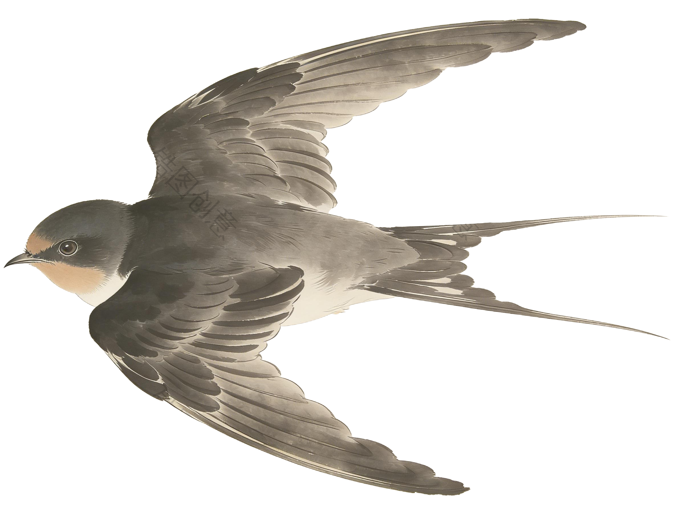 水墨国风飞行的燕子元素