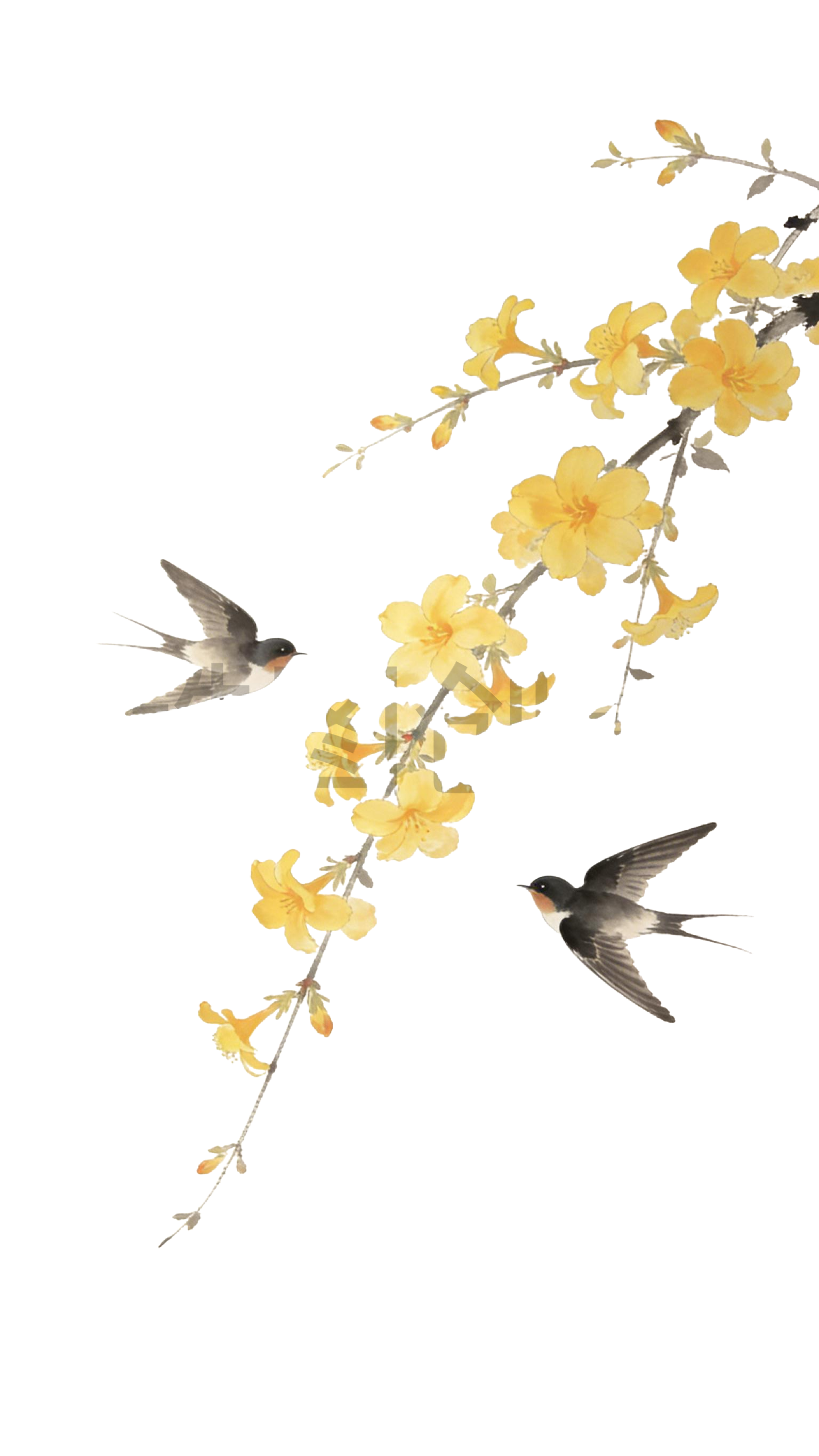 燕子插画元素