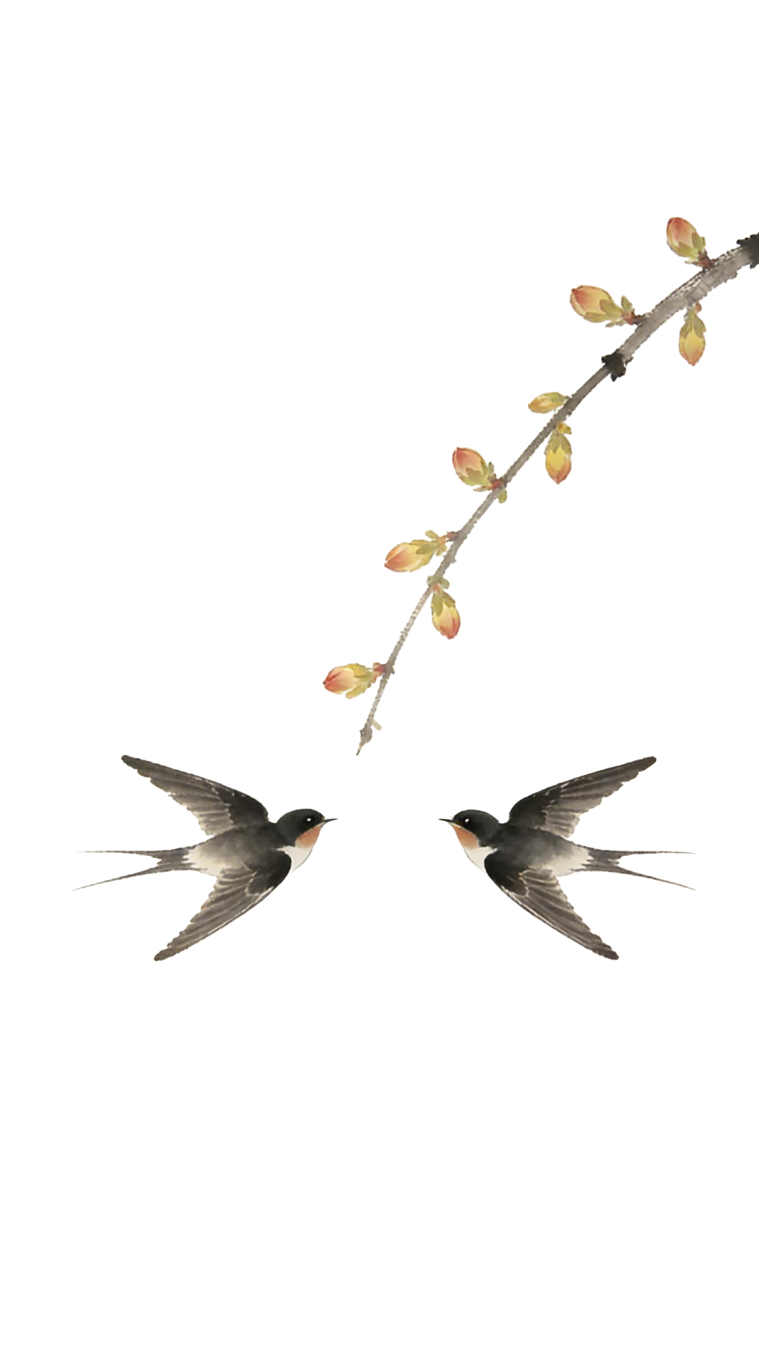 树枝上的燕子元素