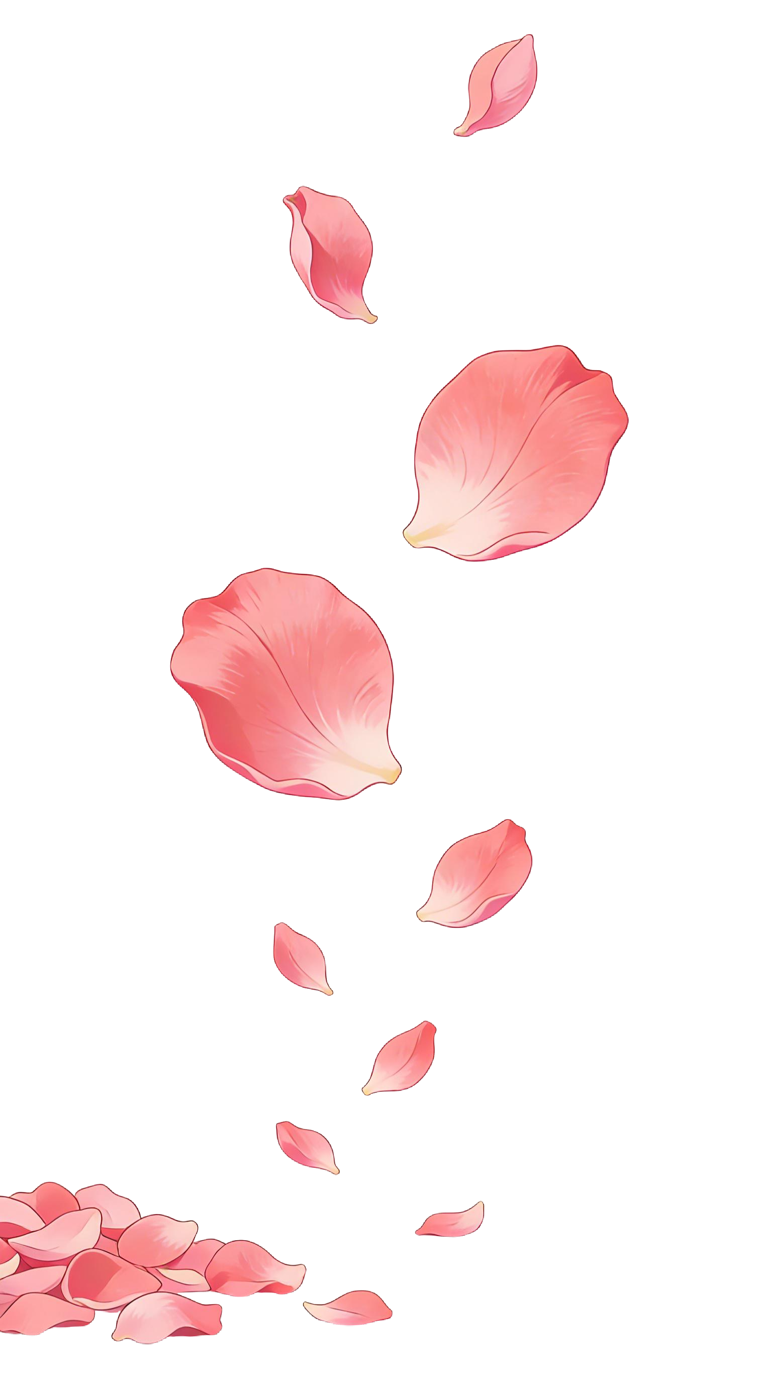 飘落的玫瑰花瓣插画元素