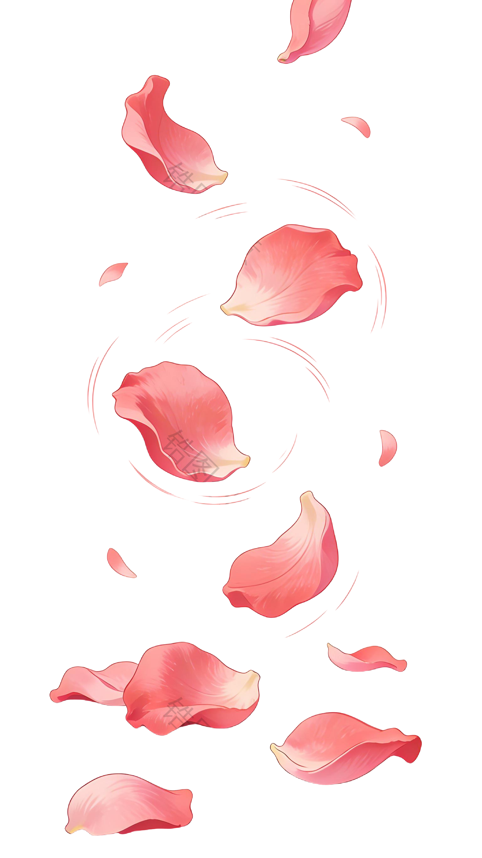 飘落的玫瑰花瓣插画元素